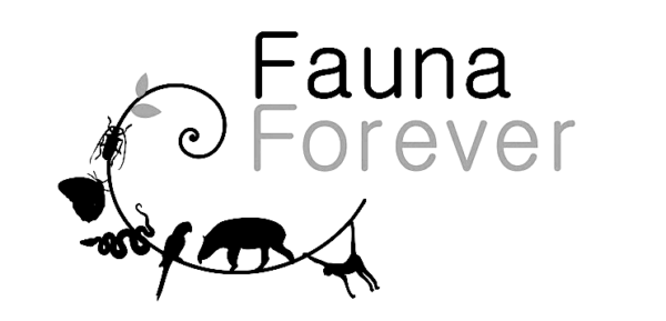 Wilderness International