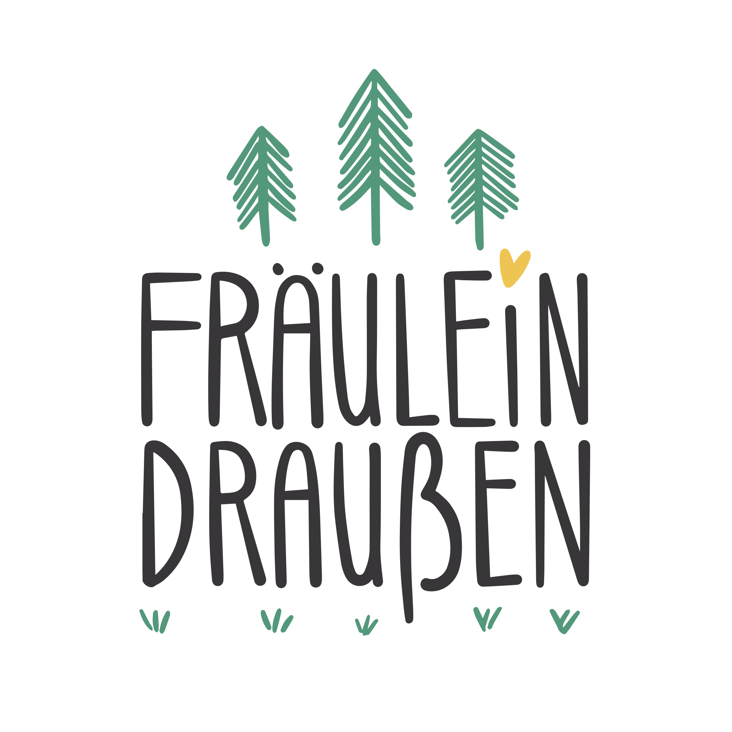 Wilderness International