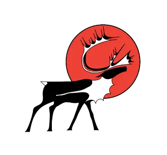 Wilderness International