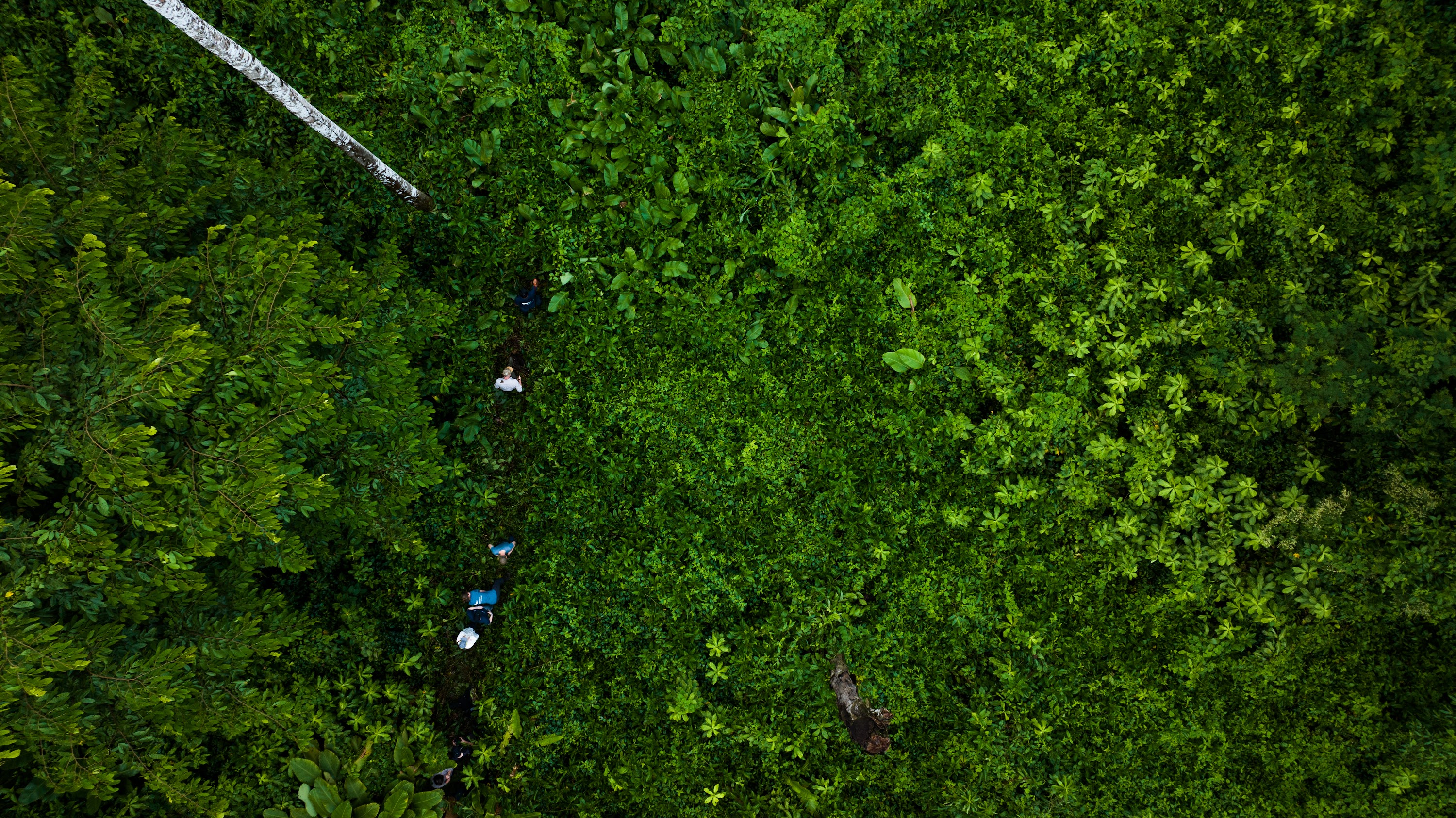 Wilderness International