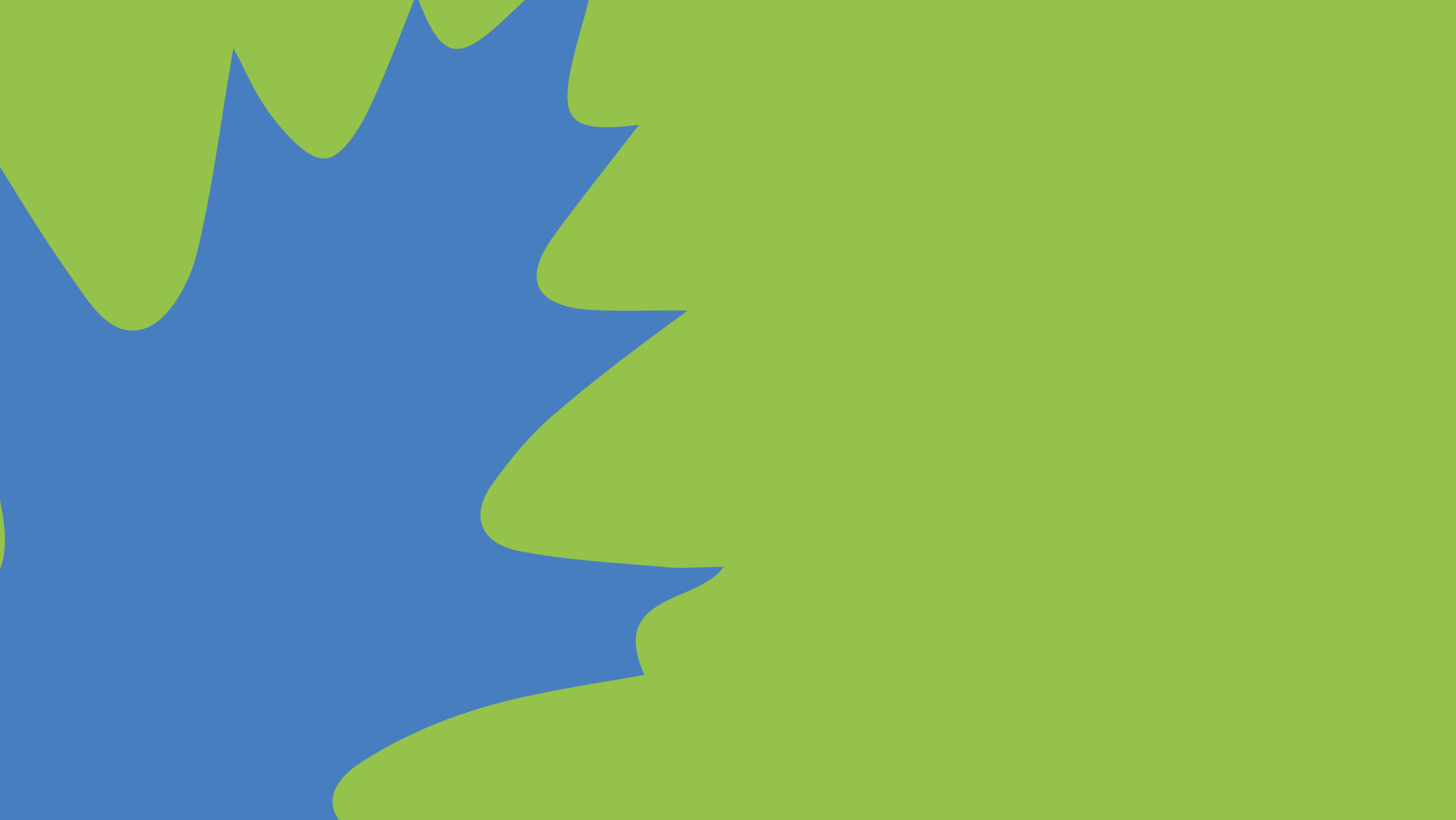 Wilderness International