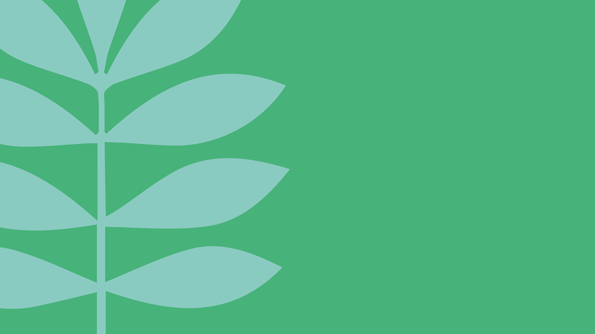 Wilderness International