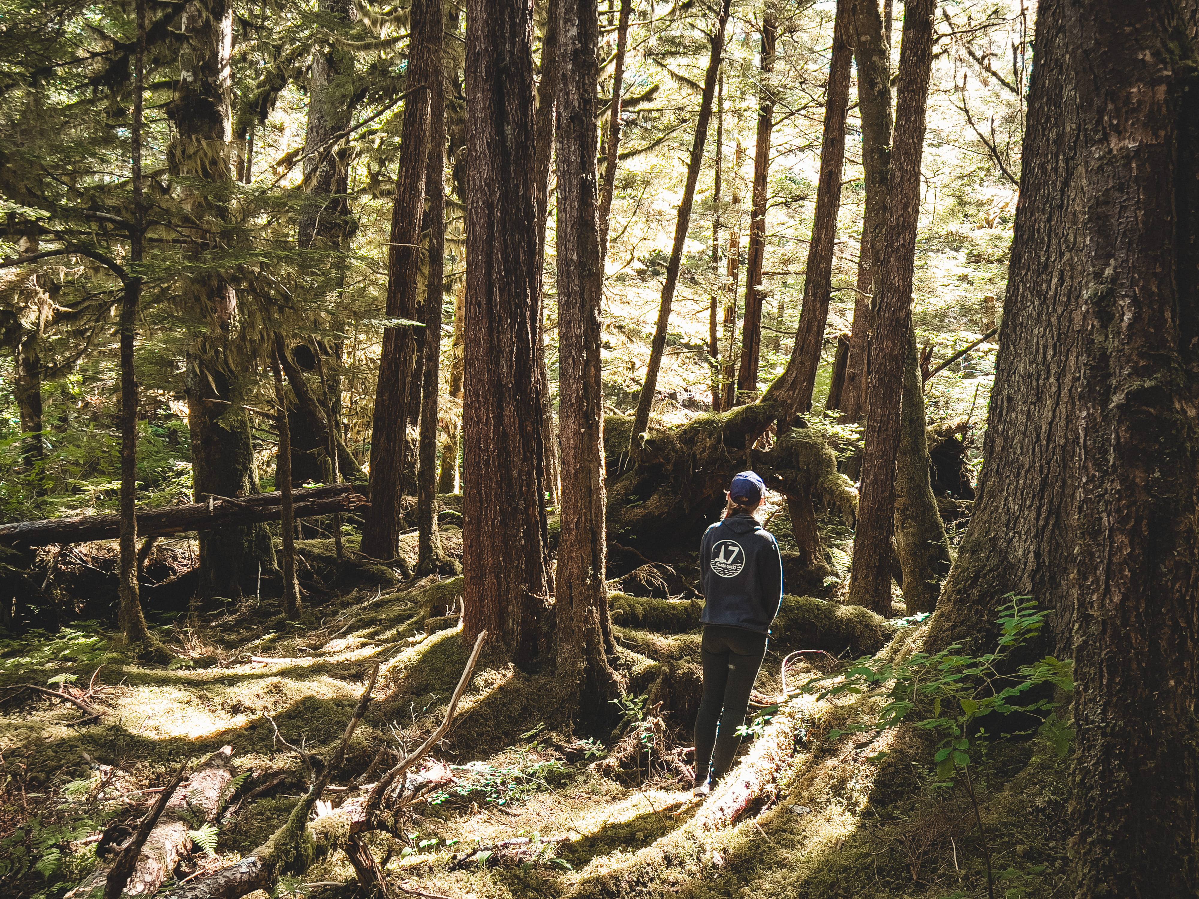 Wilderness International