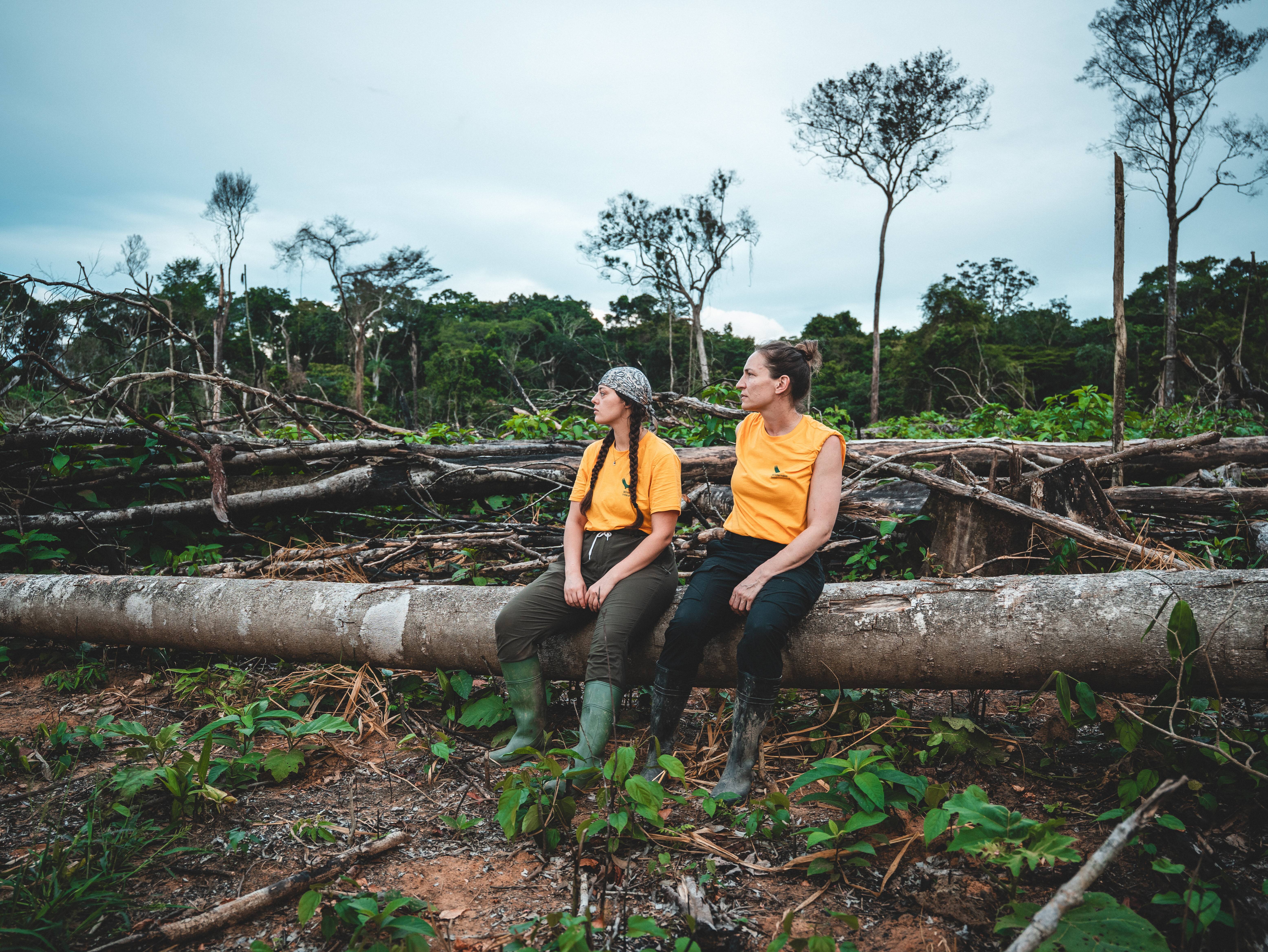 Wilderness International