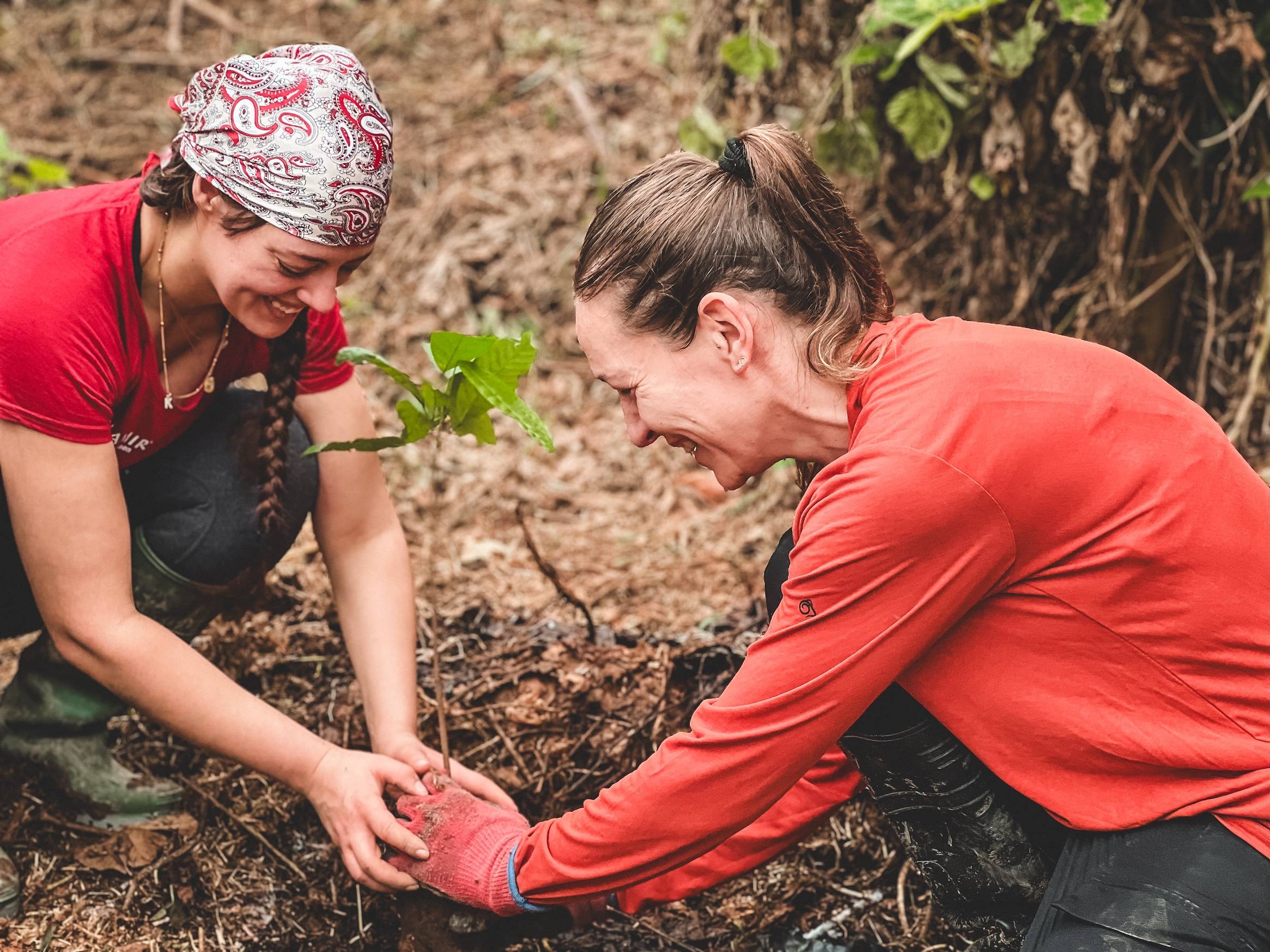 Wilderness International