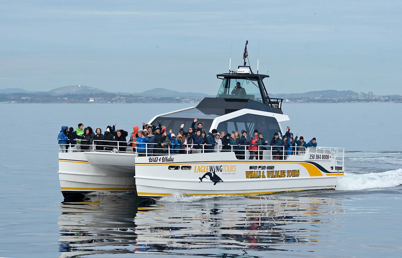 Wilderness International