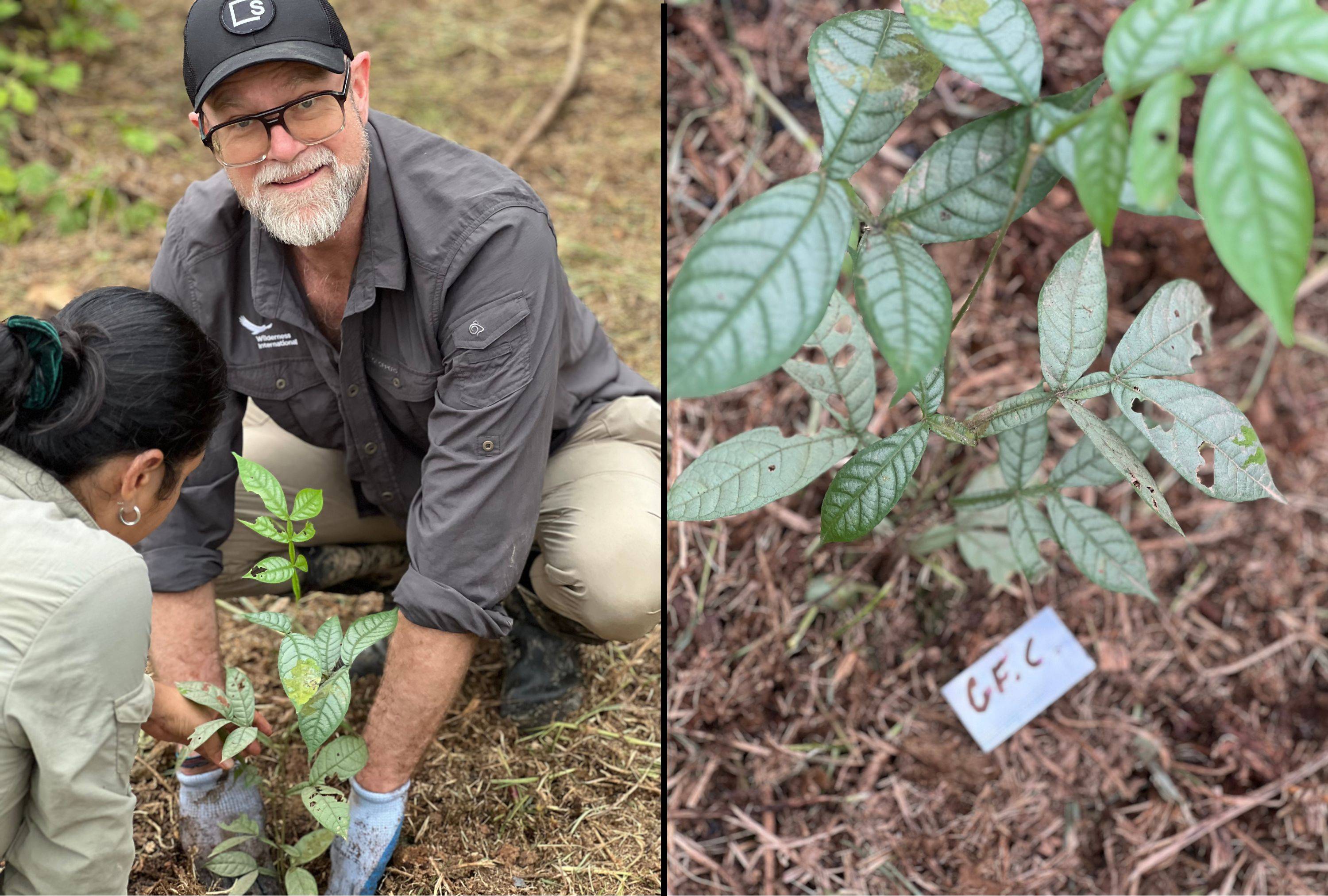 Wilderness International