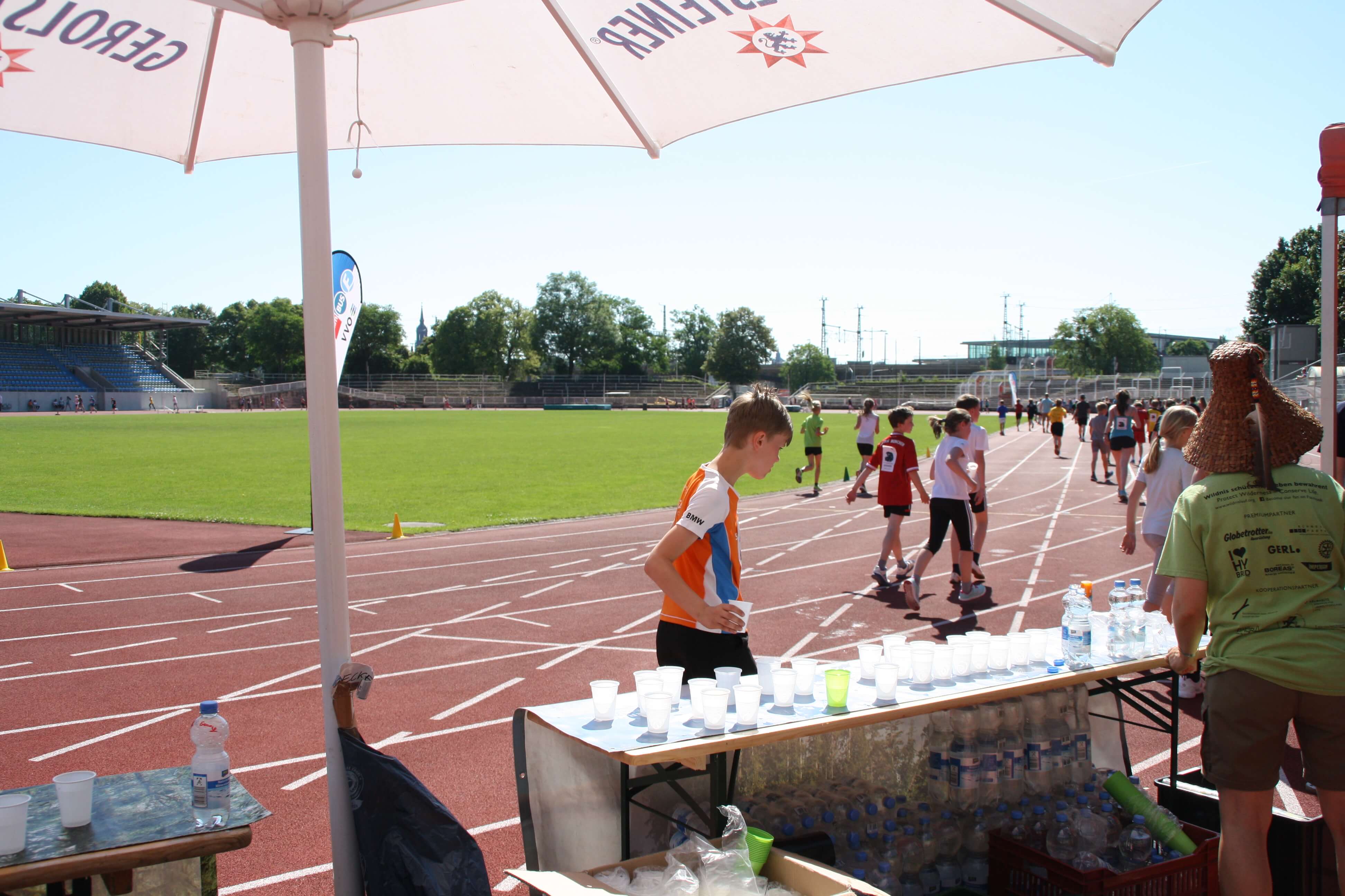 Wilderness International