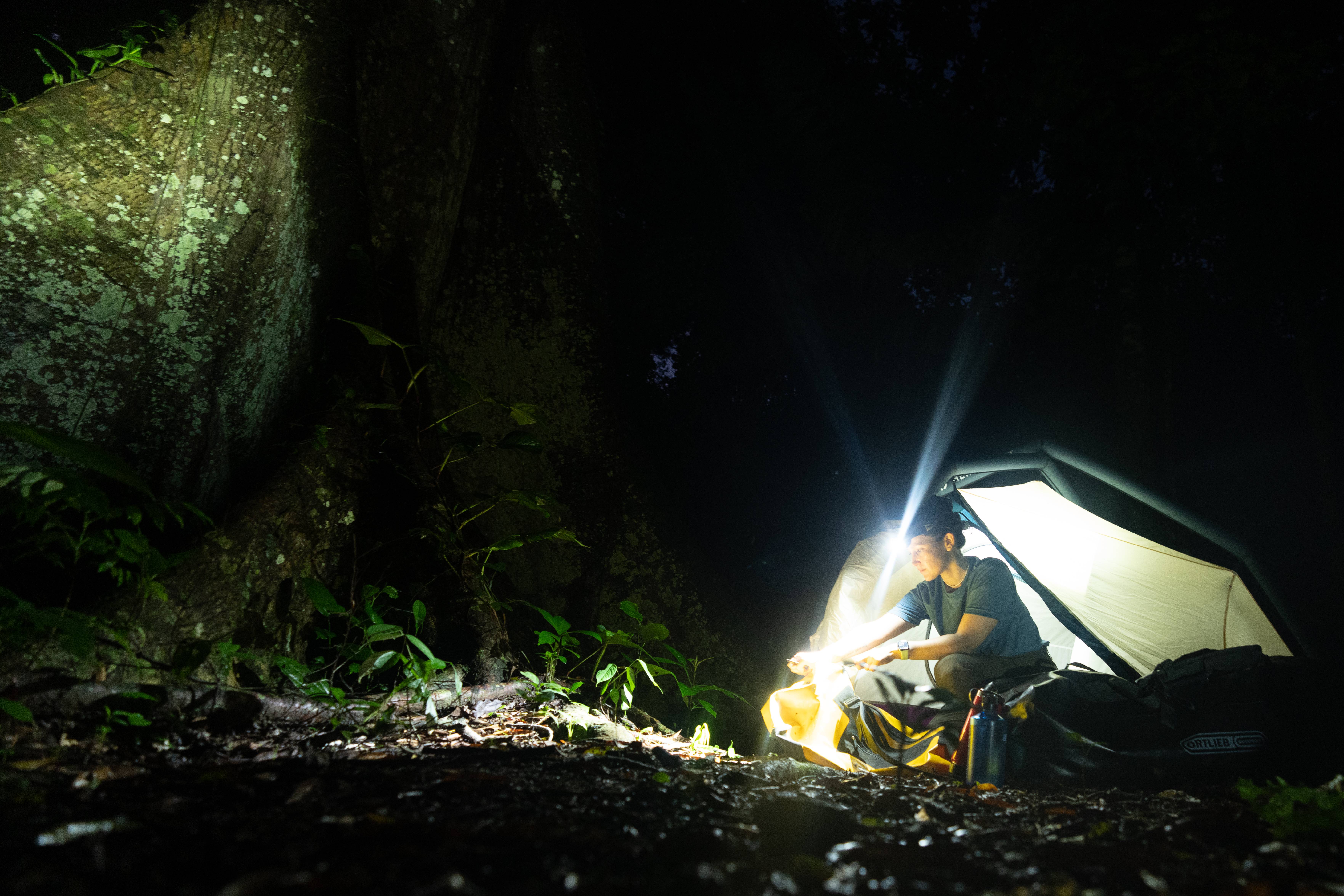 Wilderness International