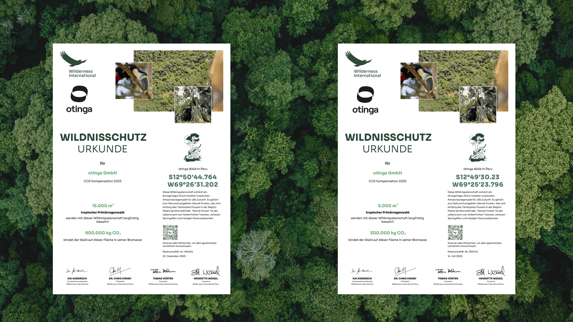 Wilderness International
