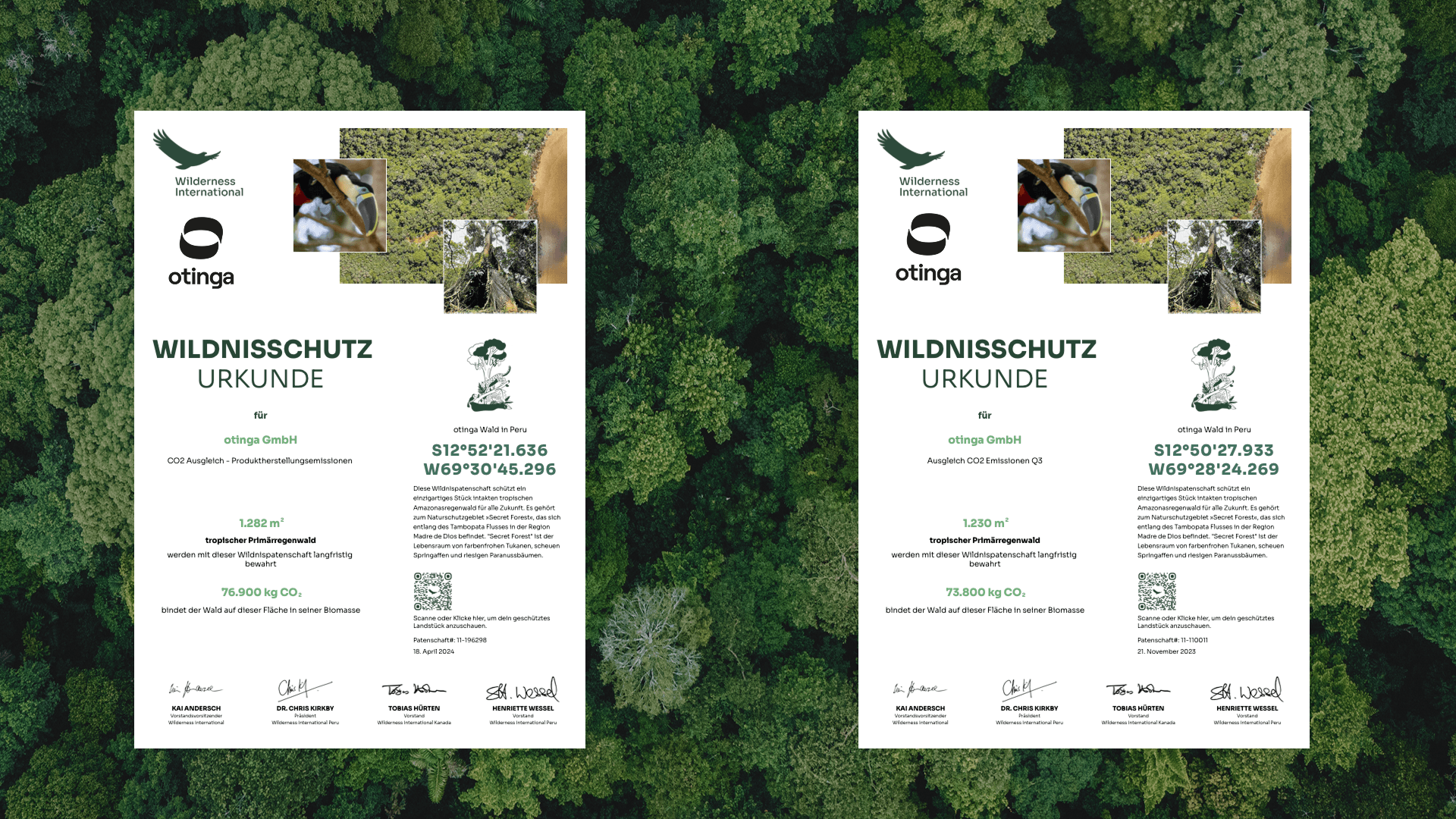 Wilderness International