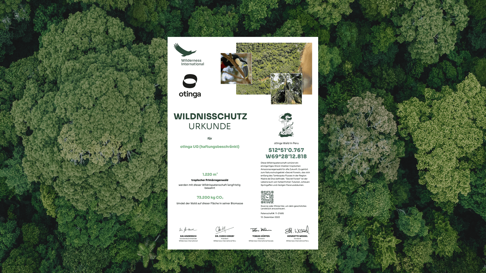 Wilderness International
