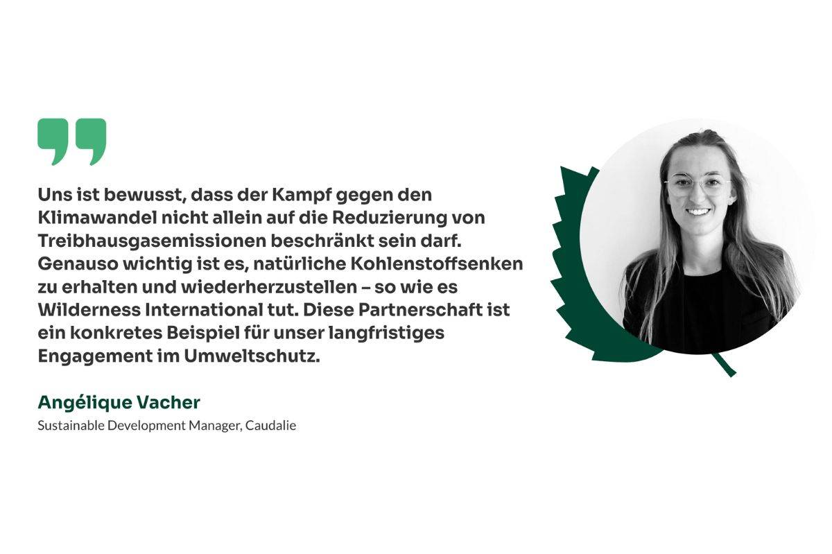 Wilderness International