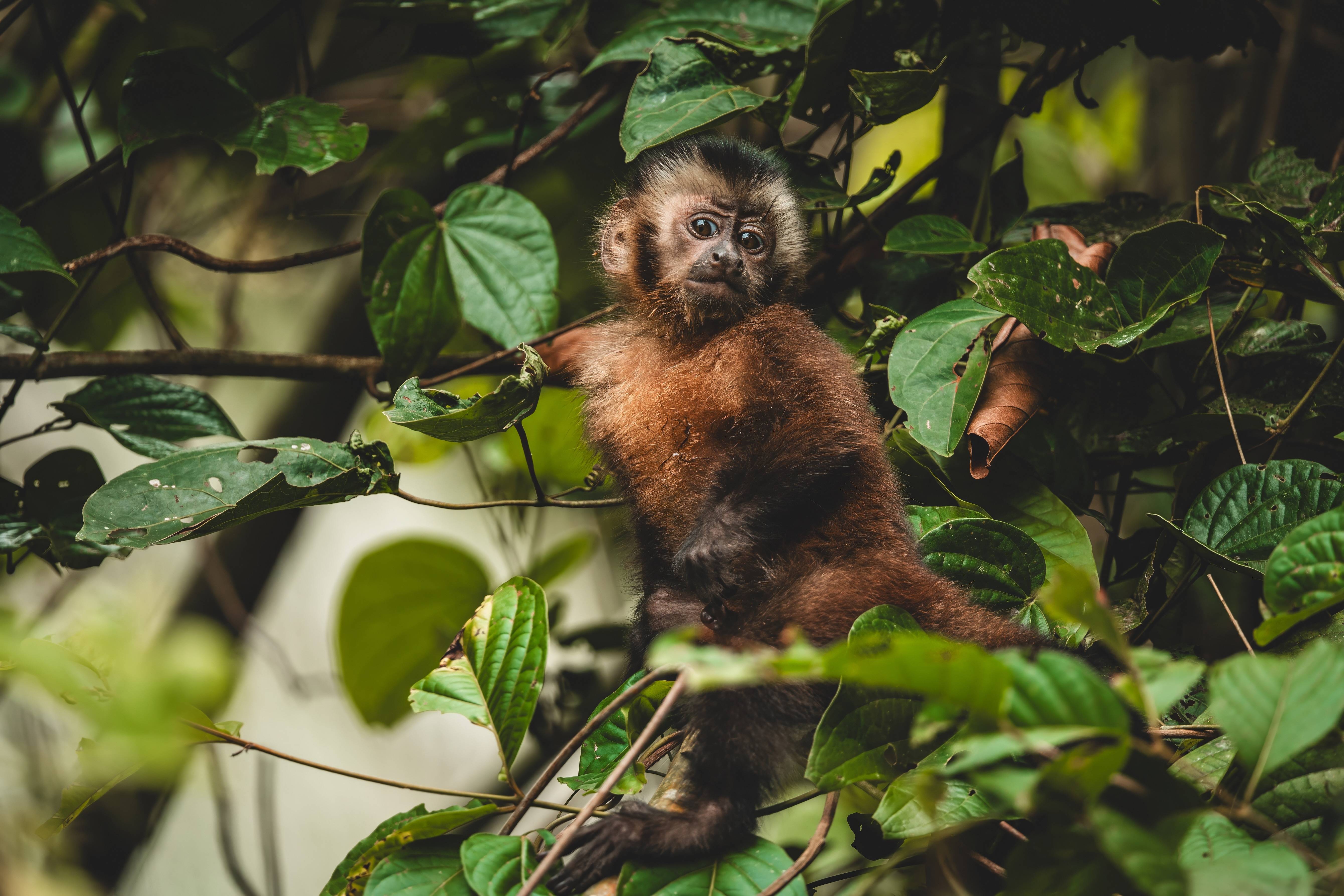 Wilderness International