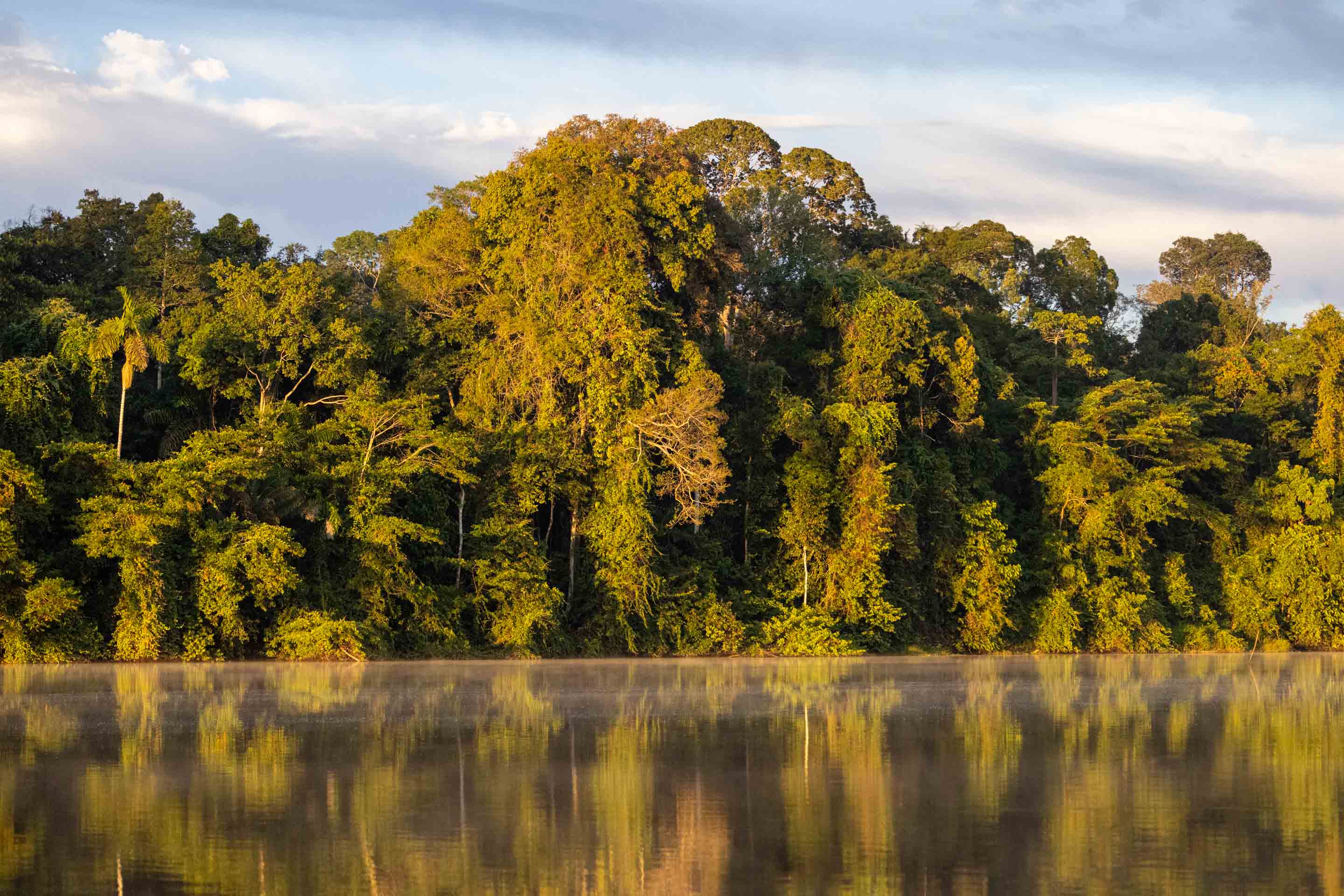 Wilderness International