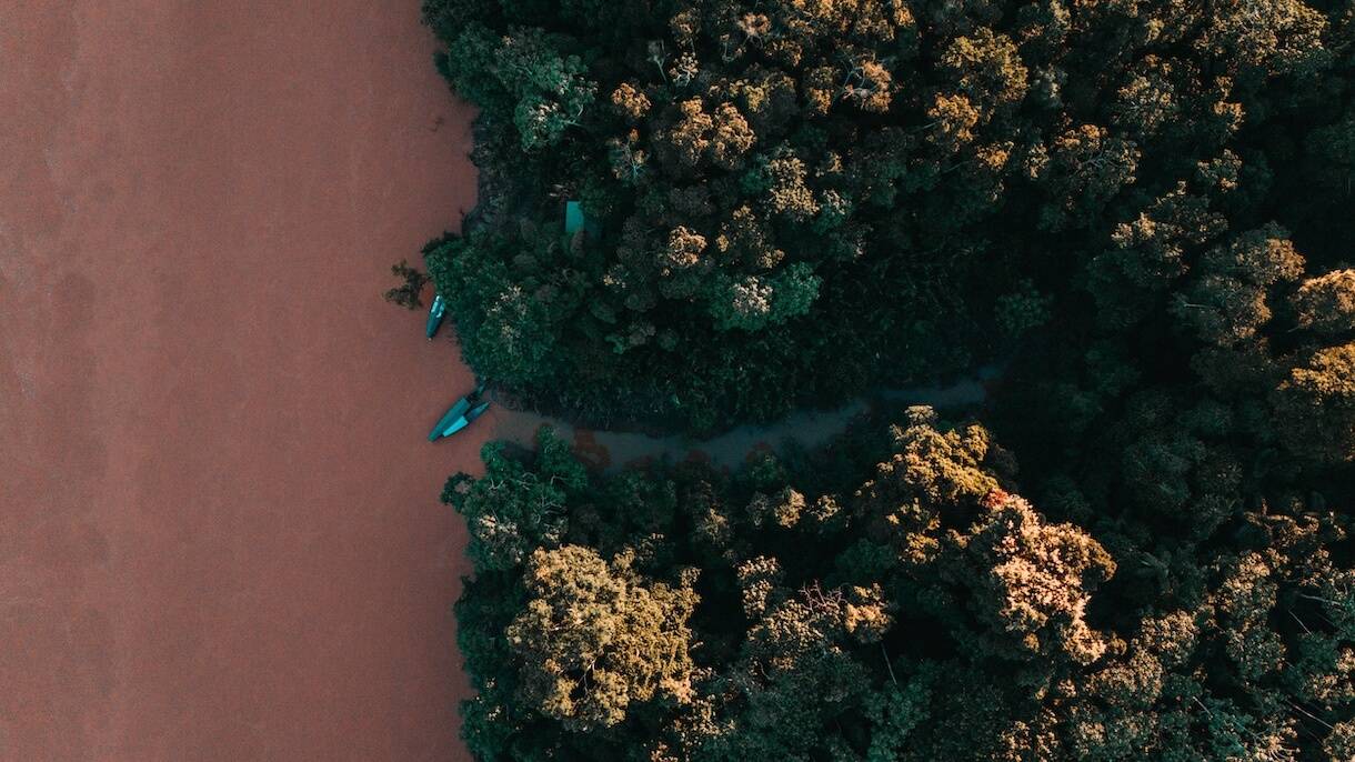 Wilderness International