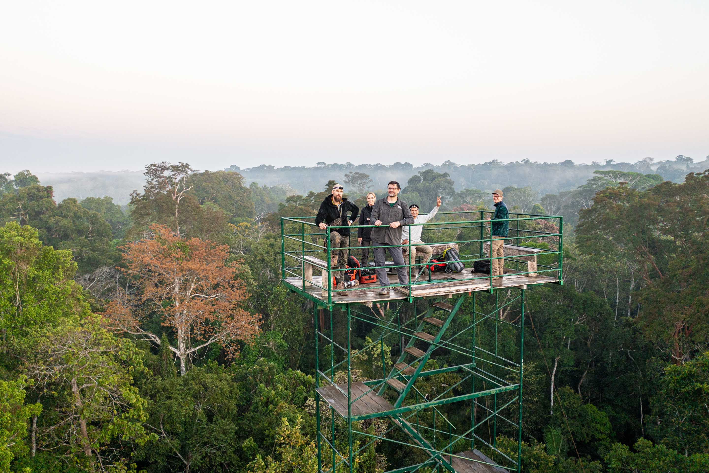 Wilderness International