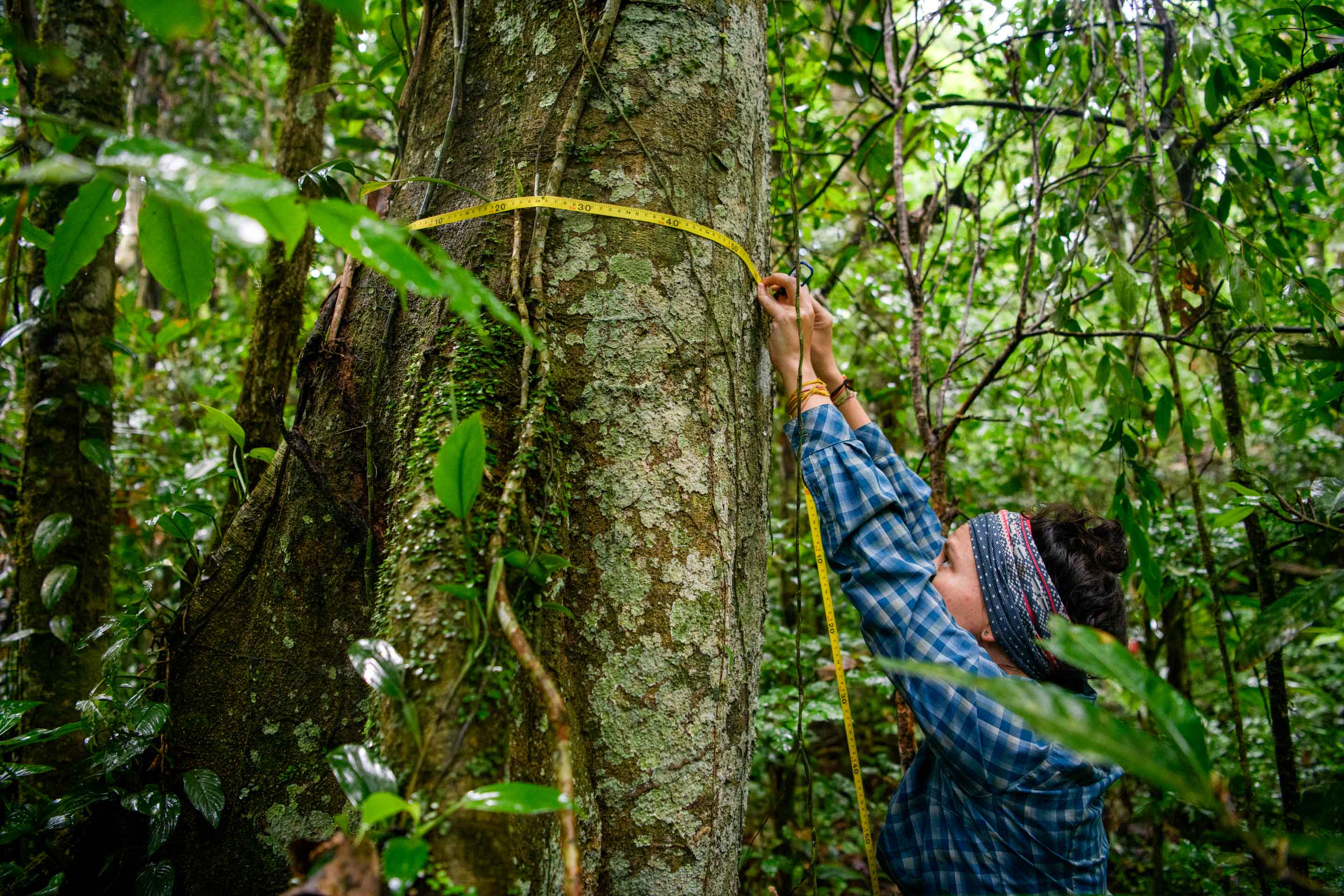 Wilderness International