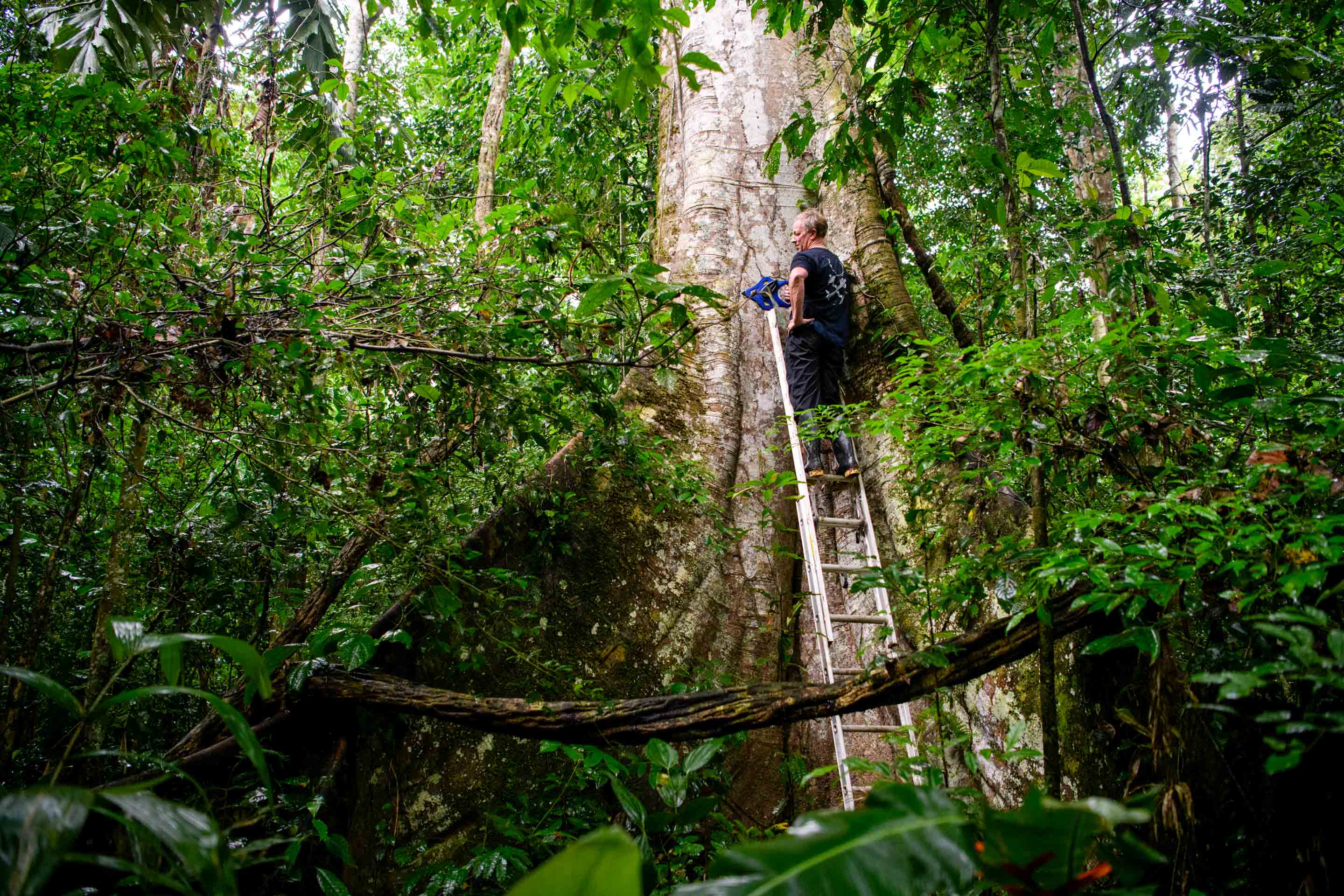 Wilderness International