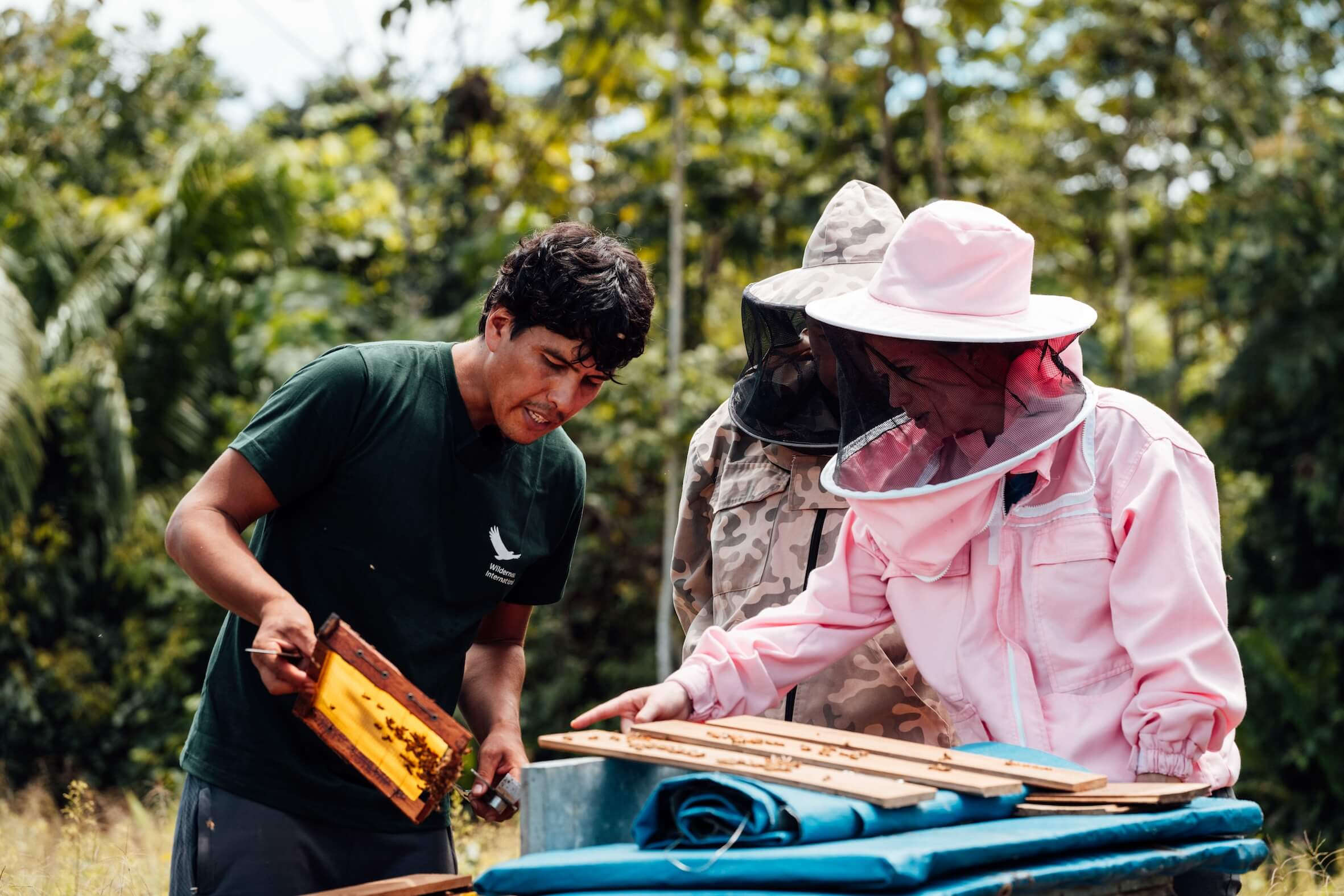 Wilderness International