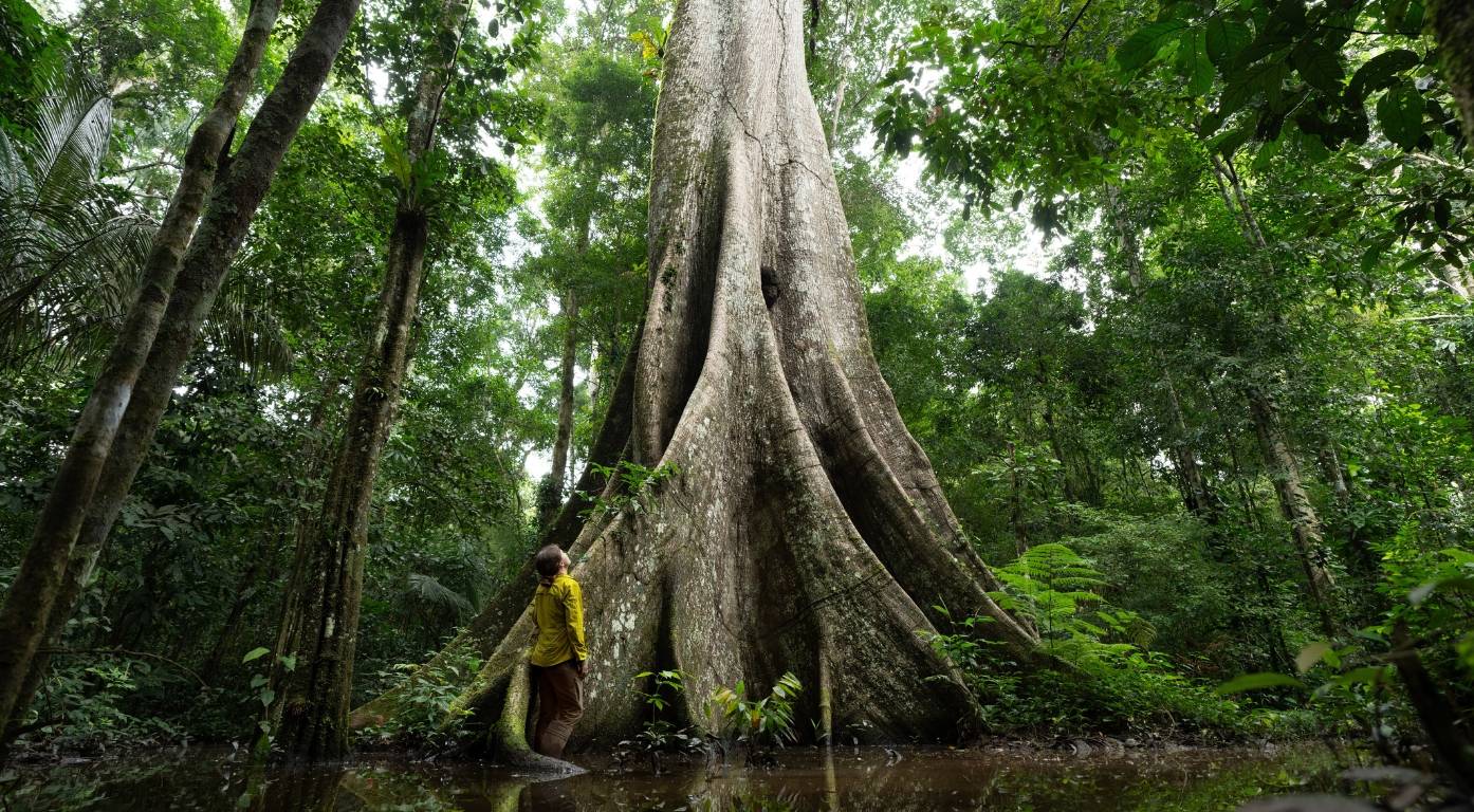 Wilderness International