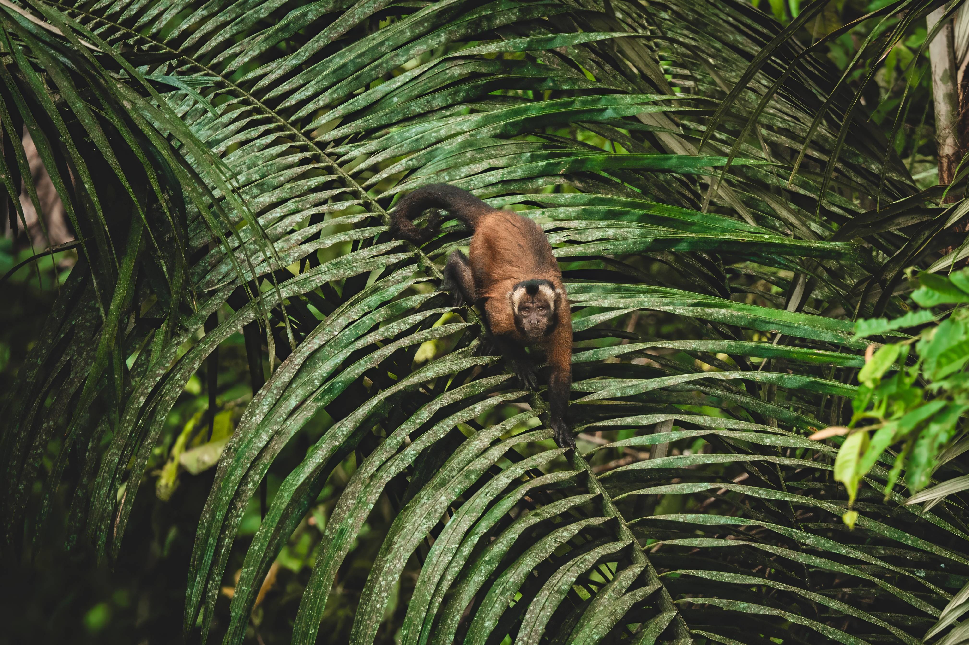 Wilderness International