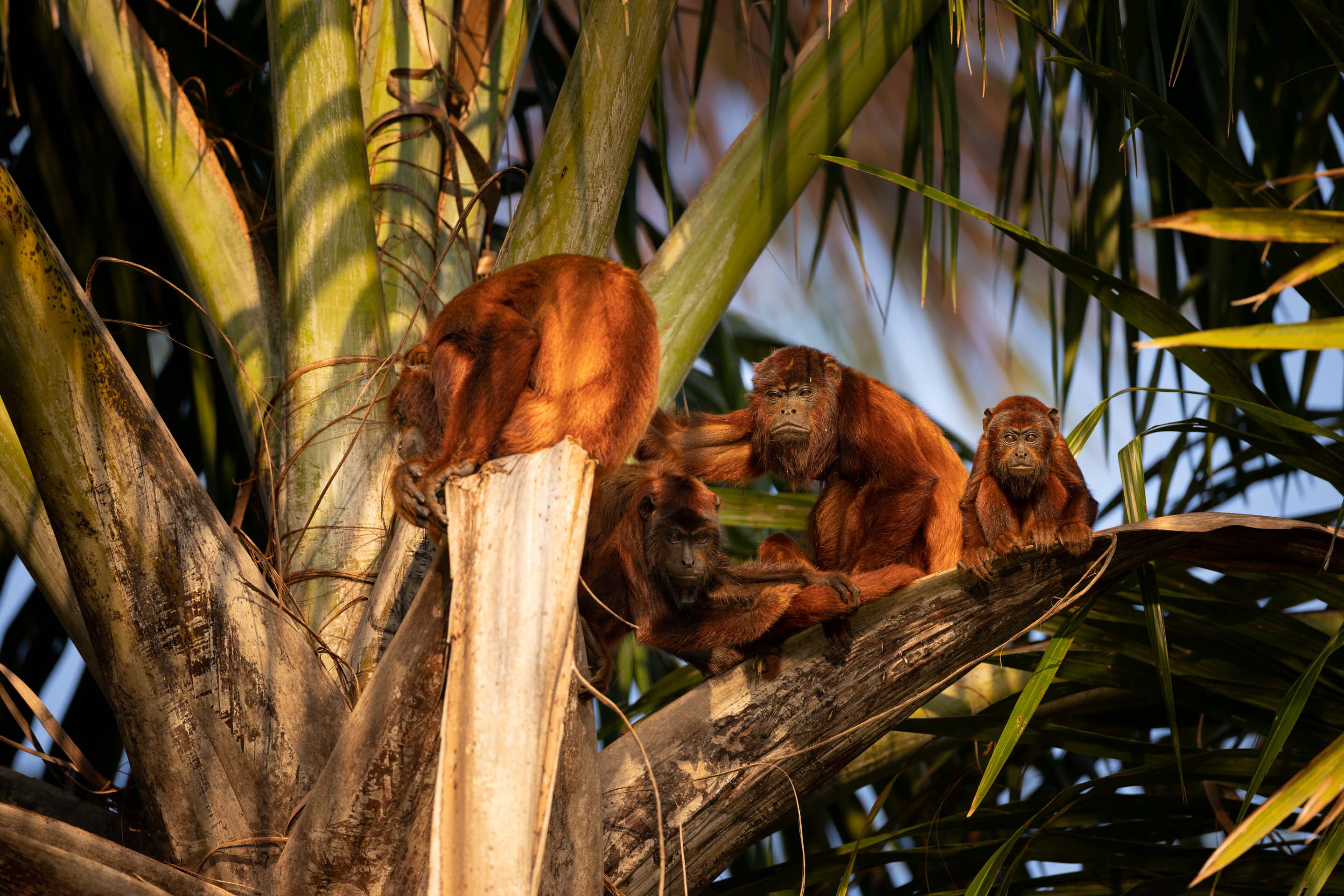 Wilderness International