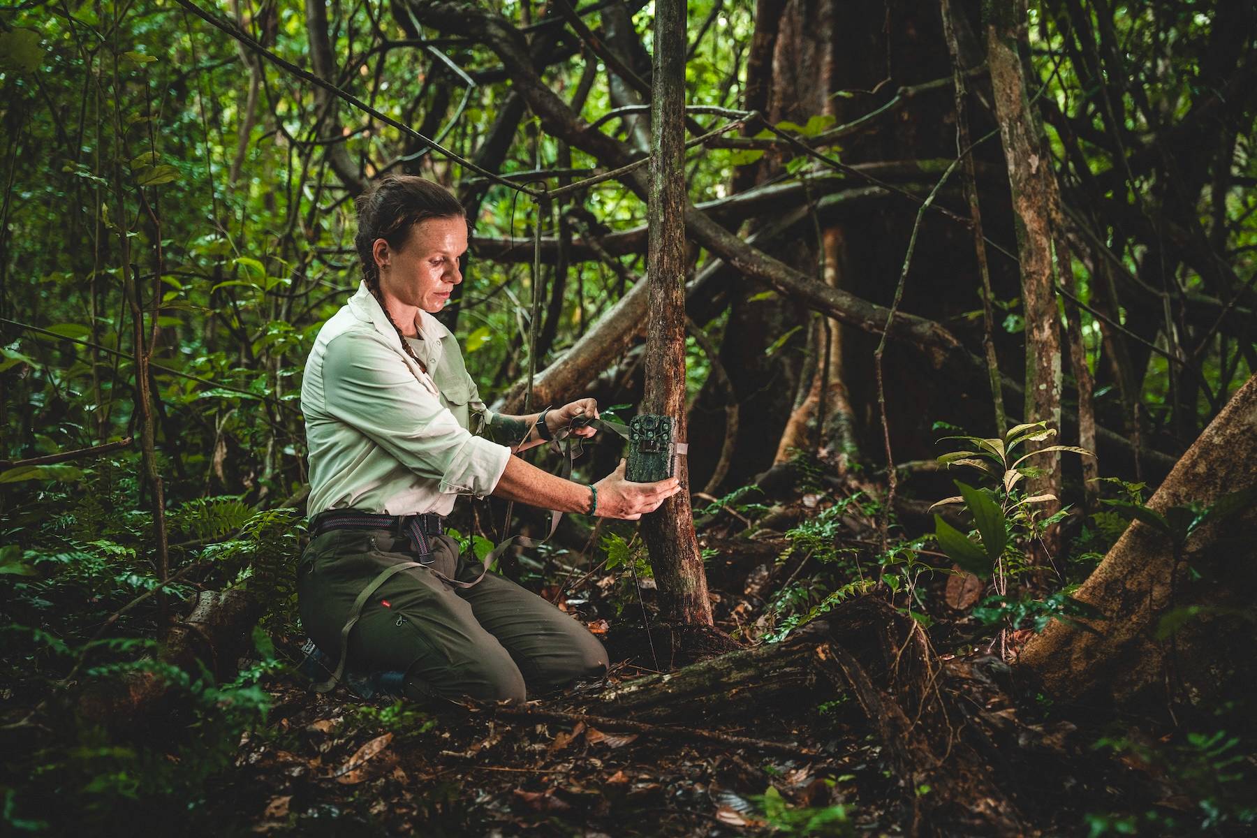 Wilderness International