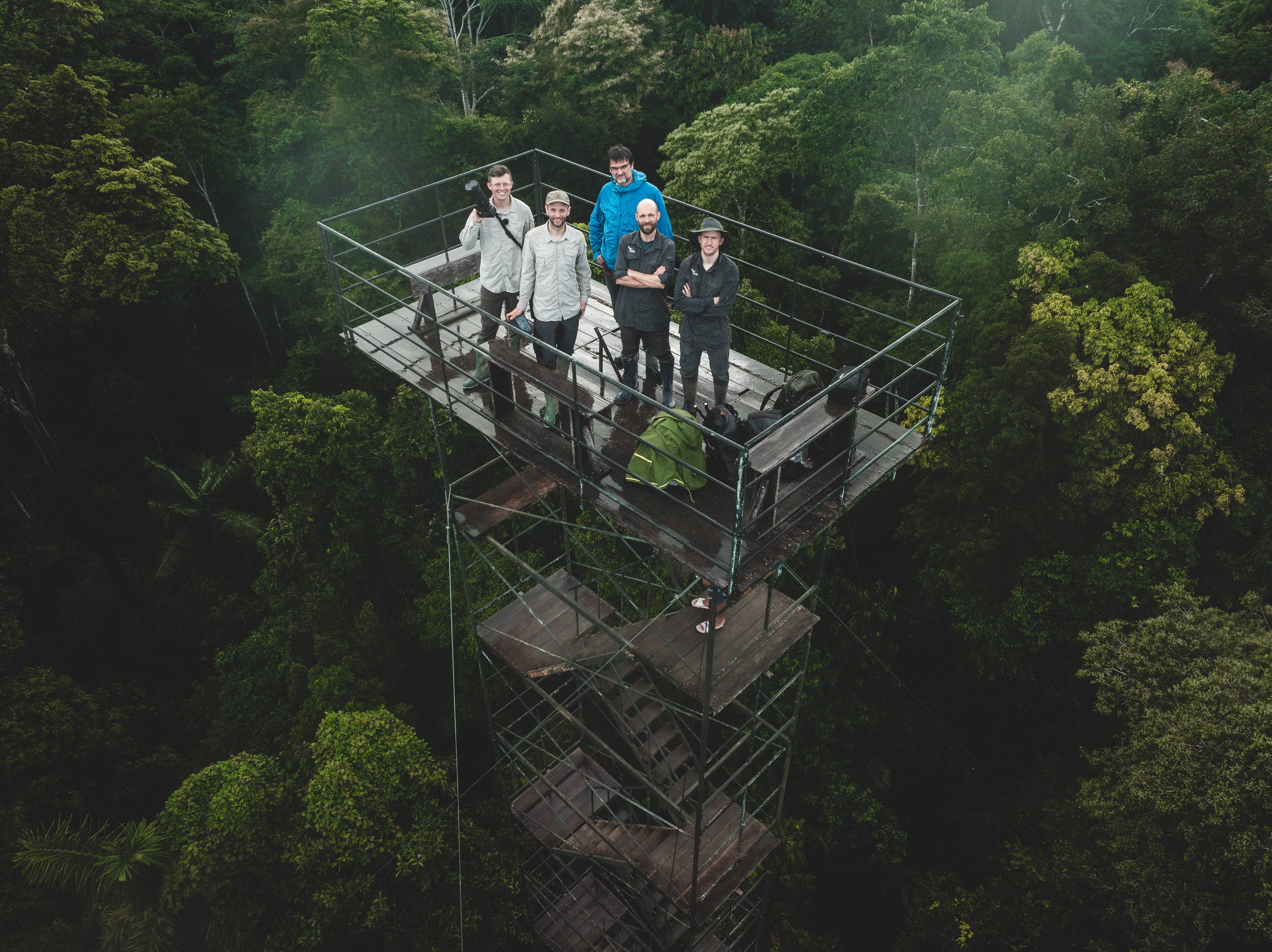 Wilderness International