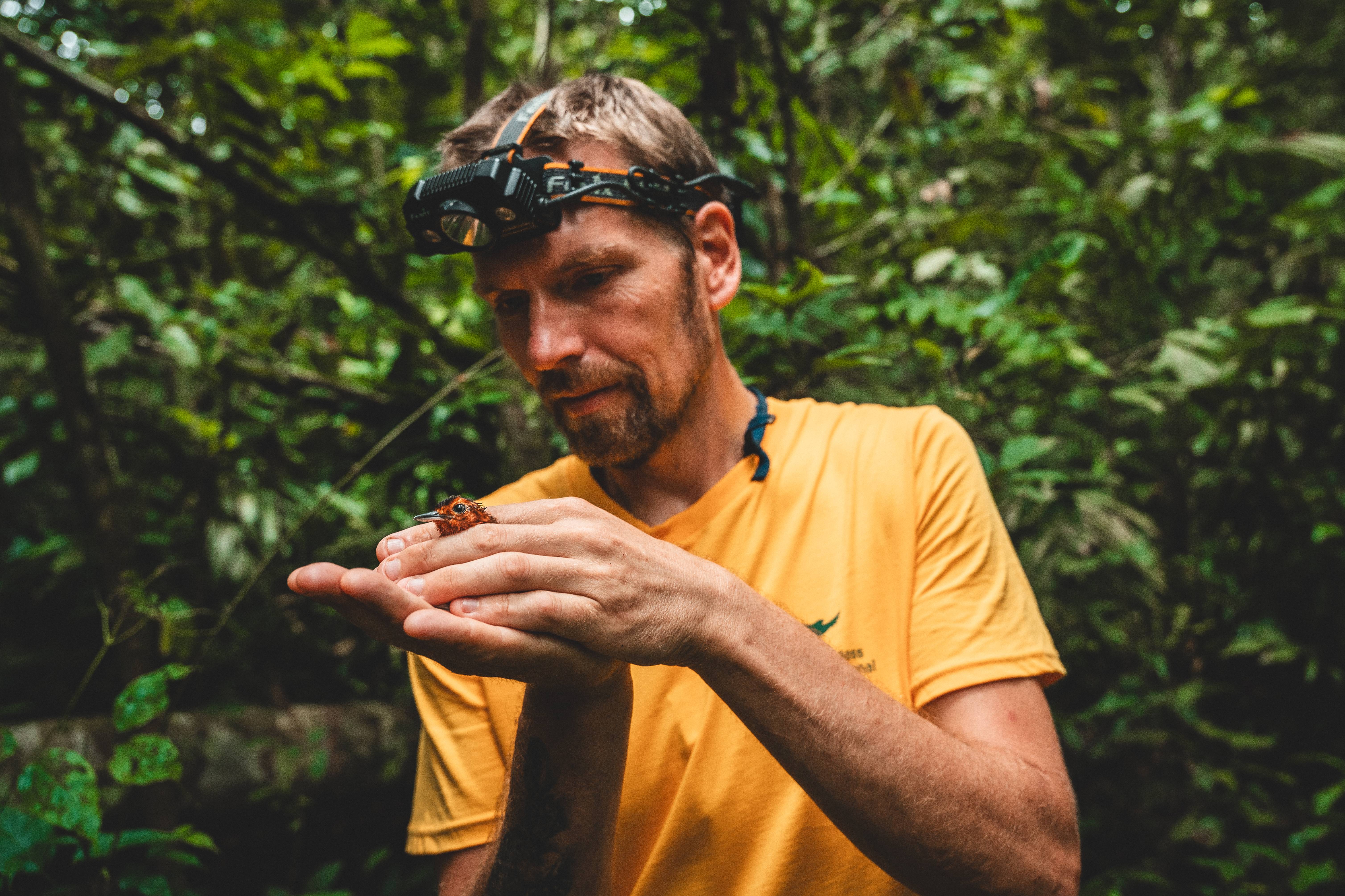 Wilderness International