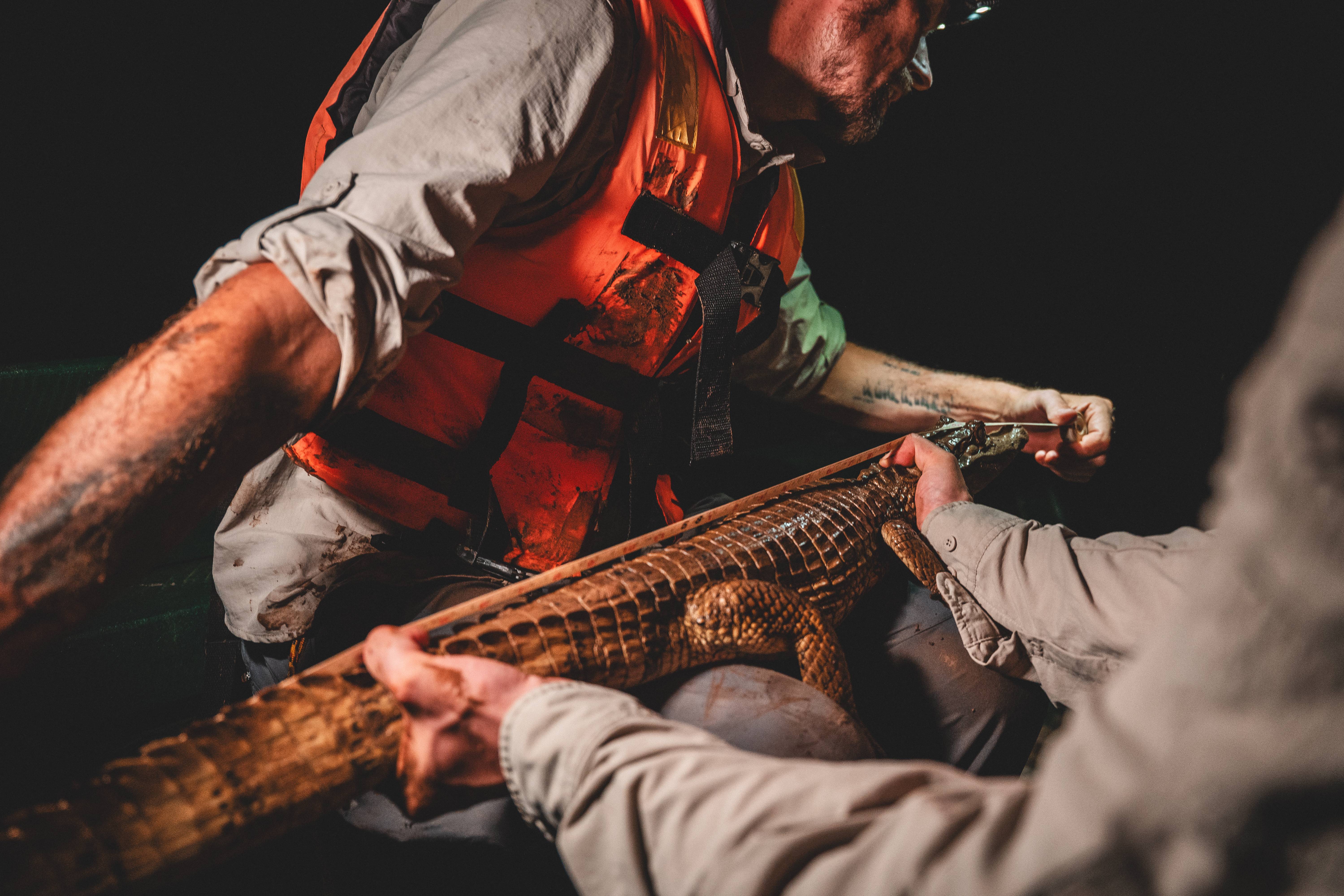 Wilderness International