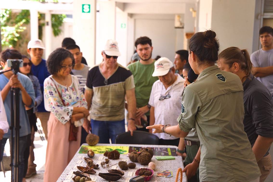 Wilderness International