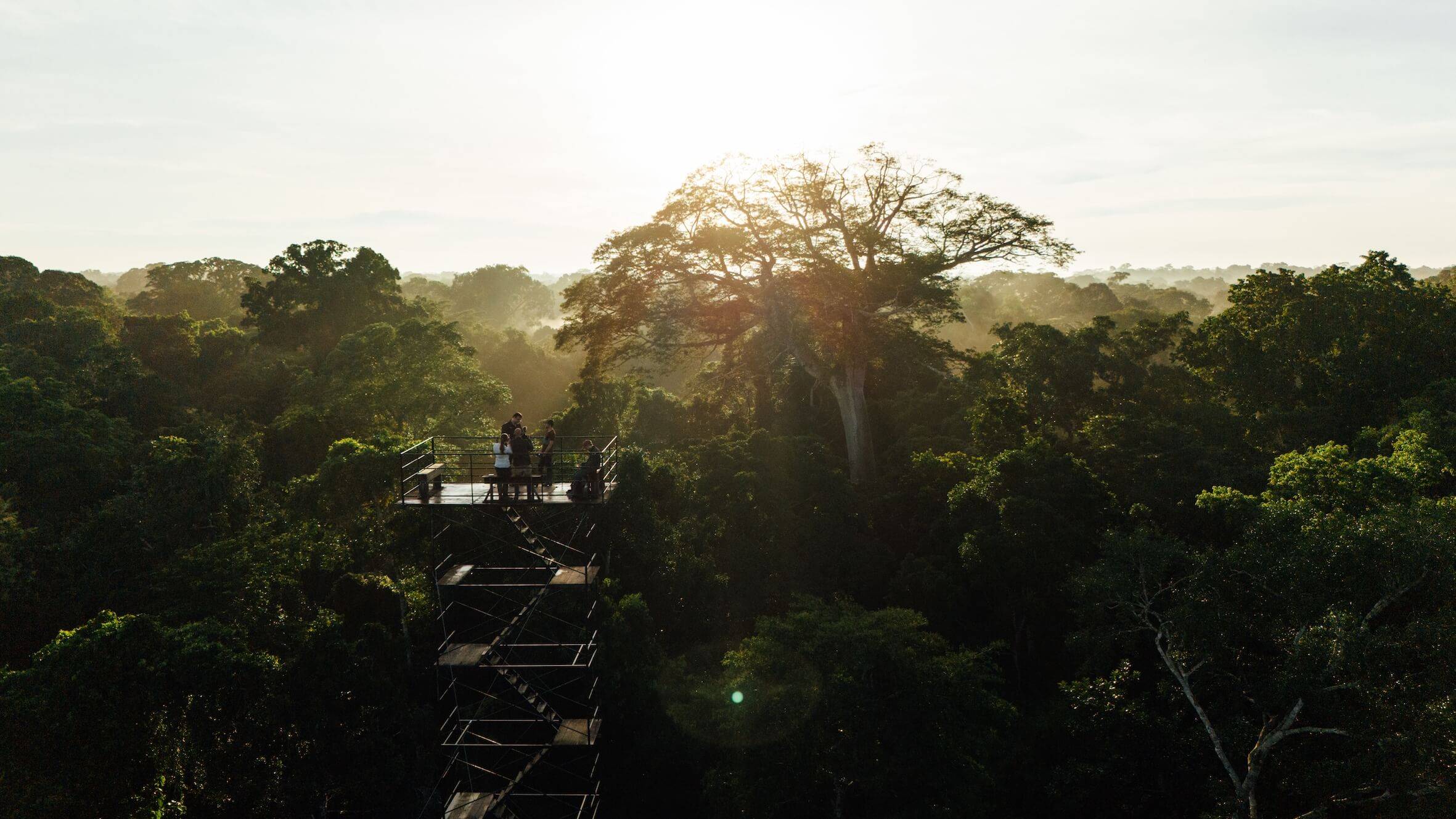 Wilderness International