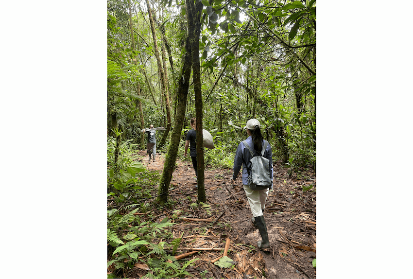 Wilderness International