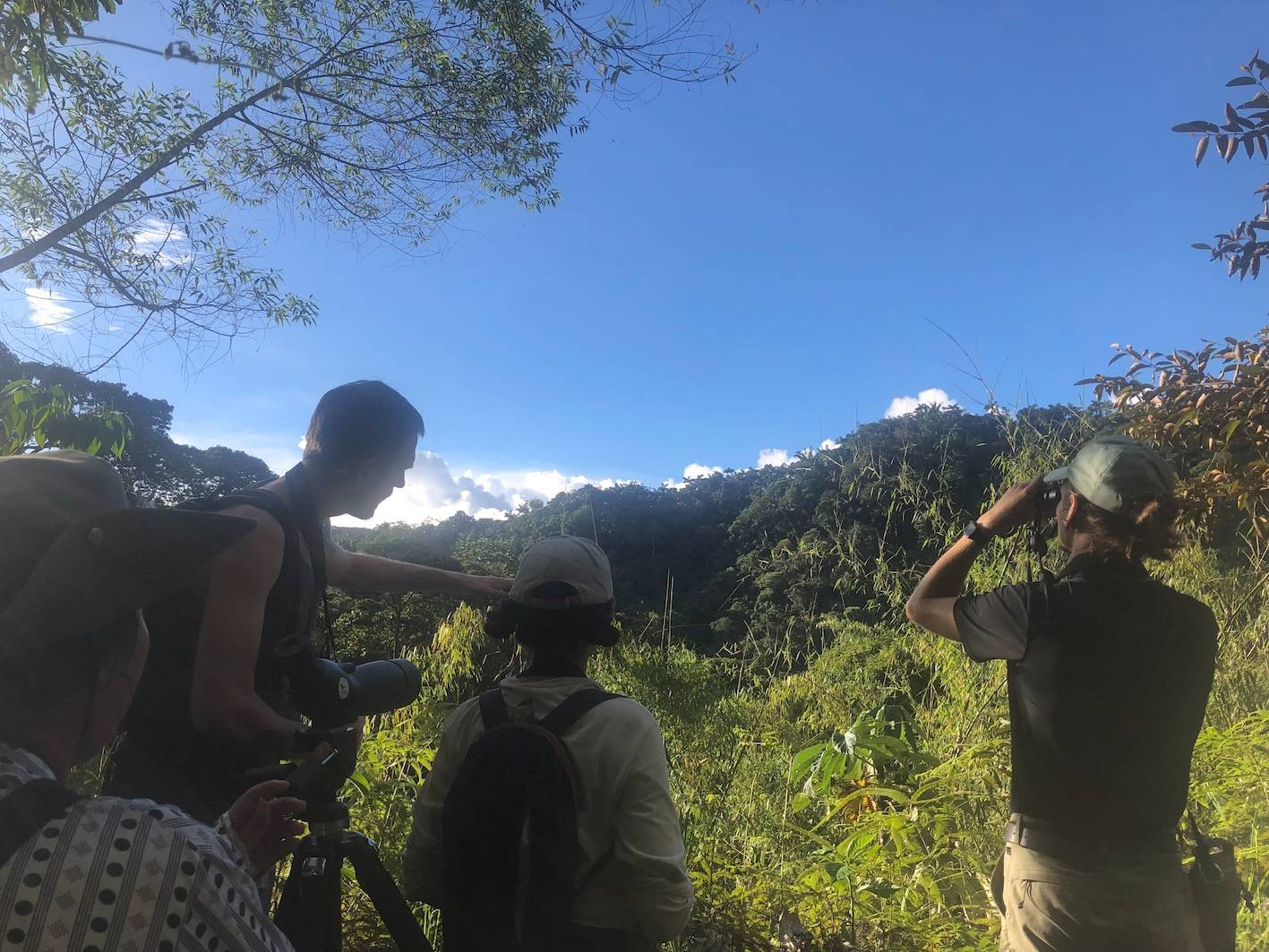 Wilderness International