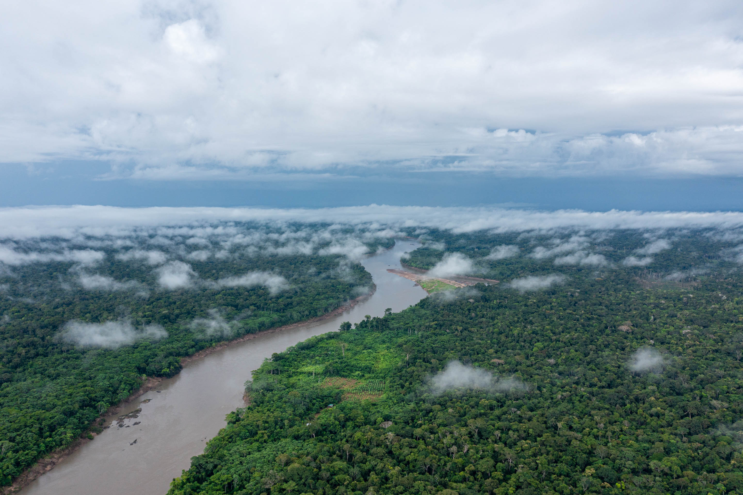 Wilderness International