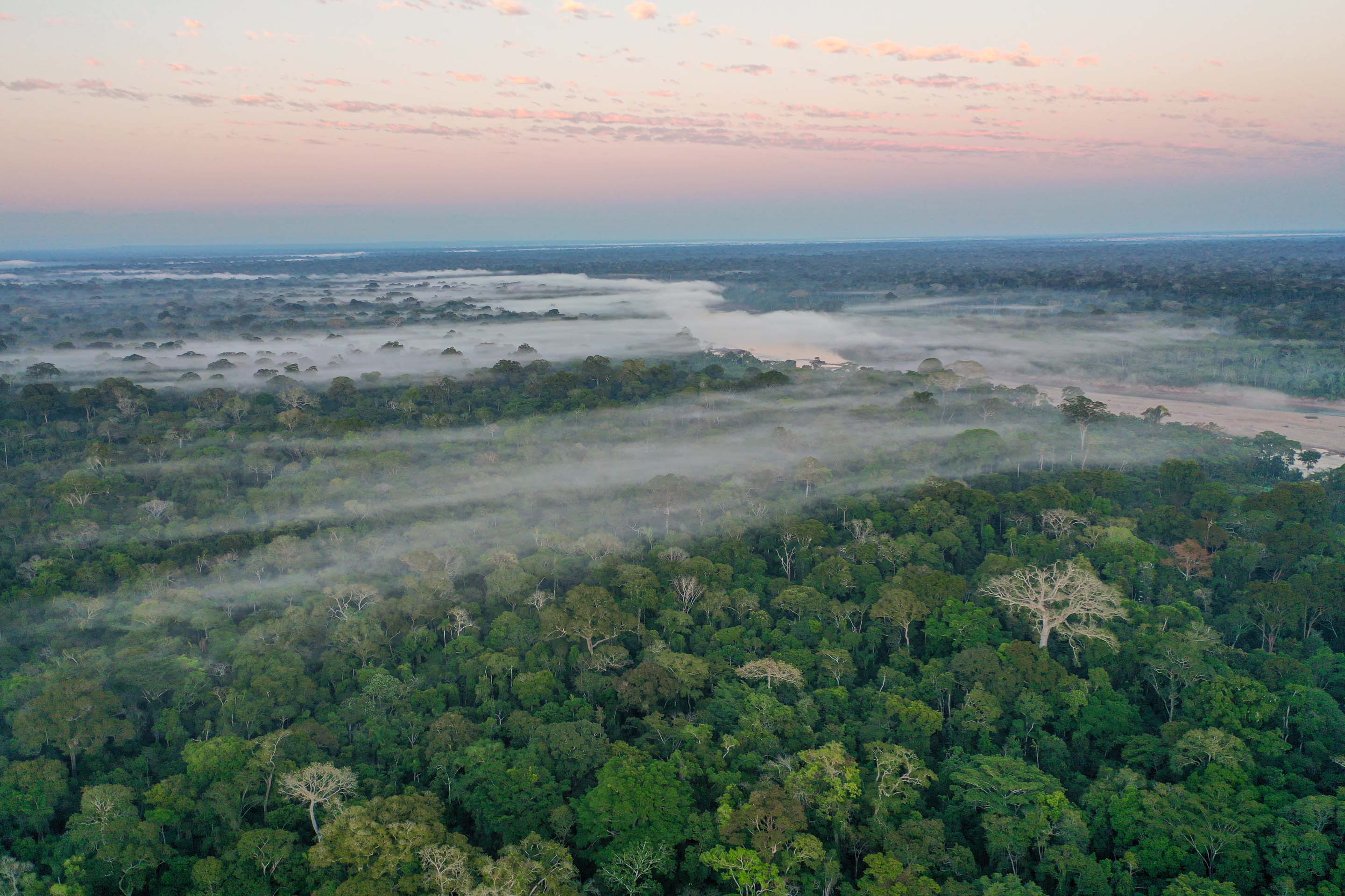 Wilderness International