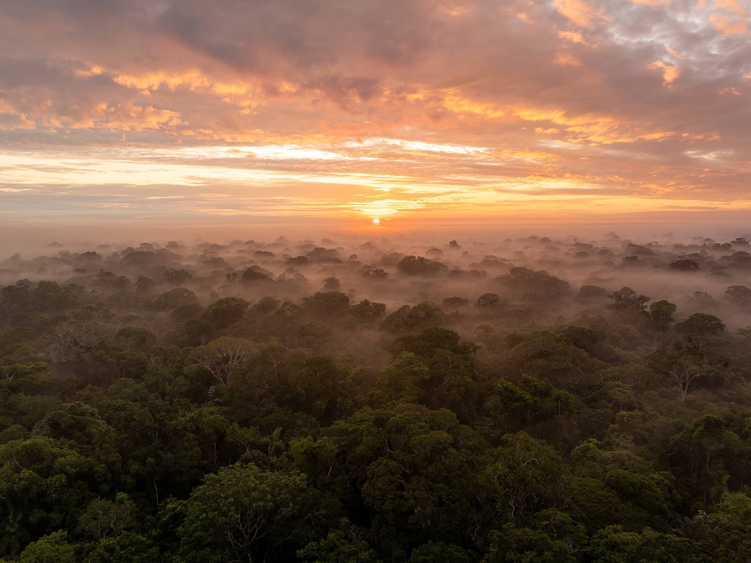Wilderness International