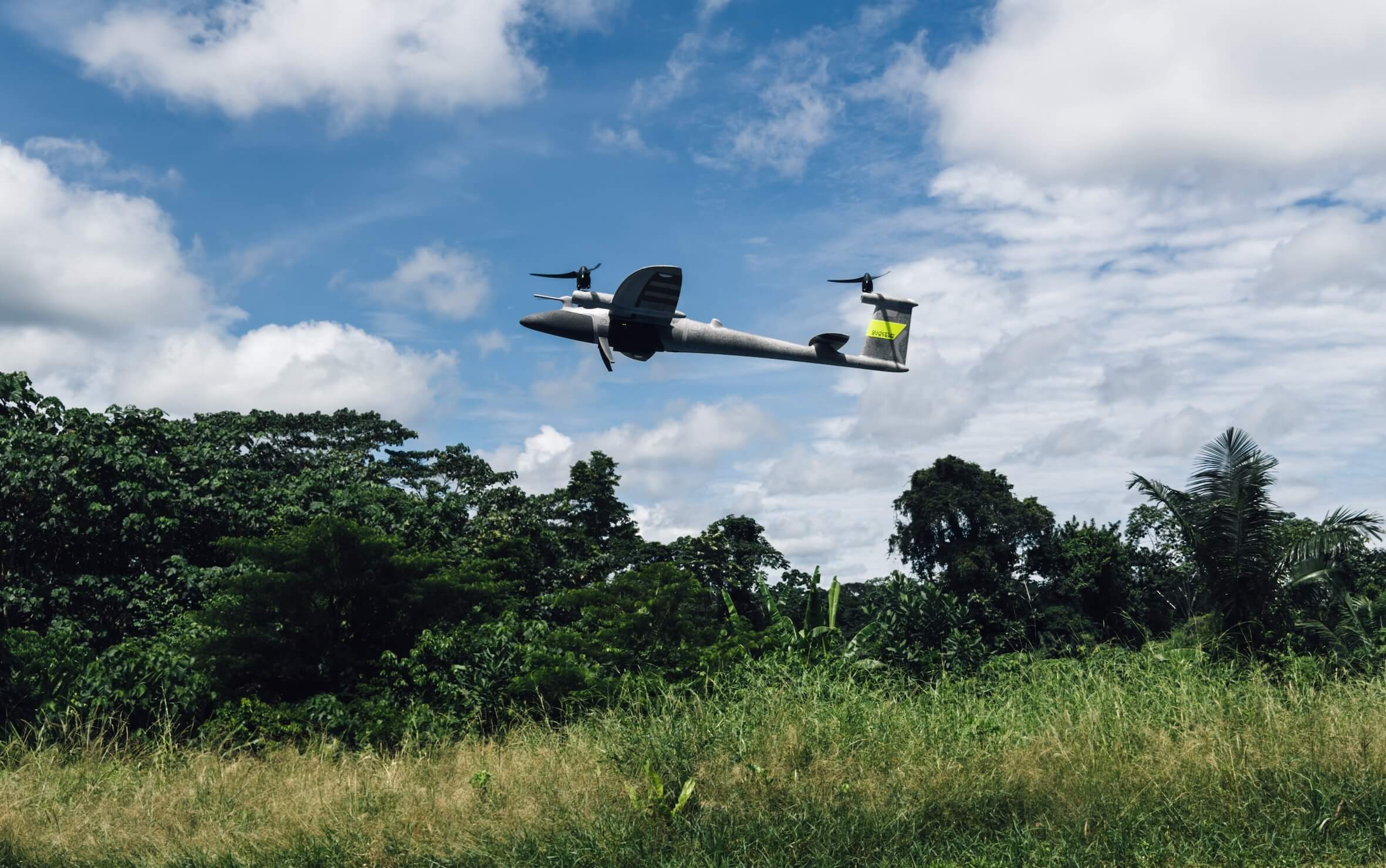 Wilderness International