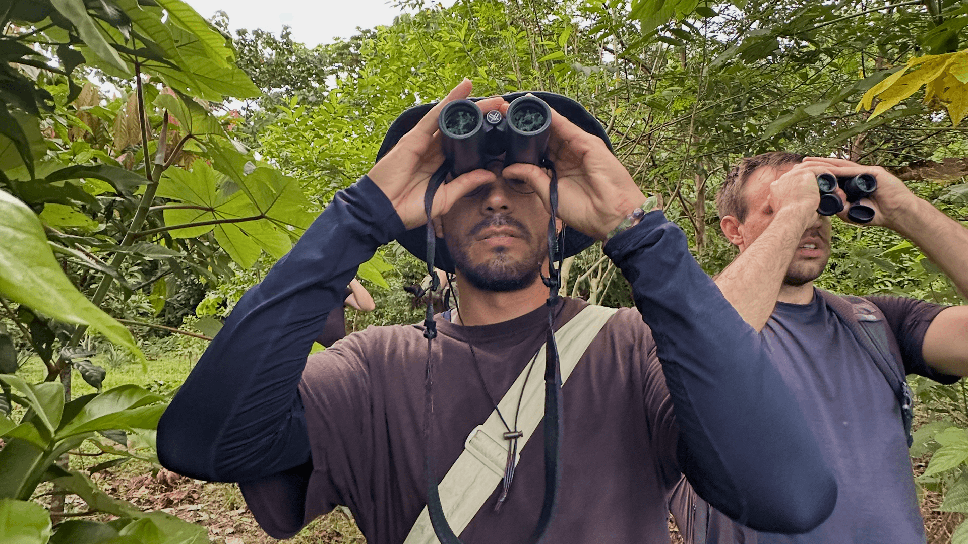 Wilderness International