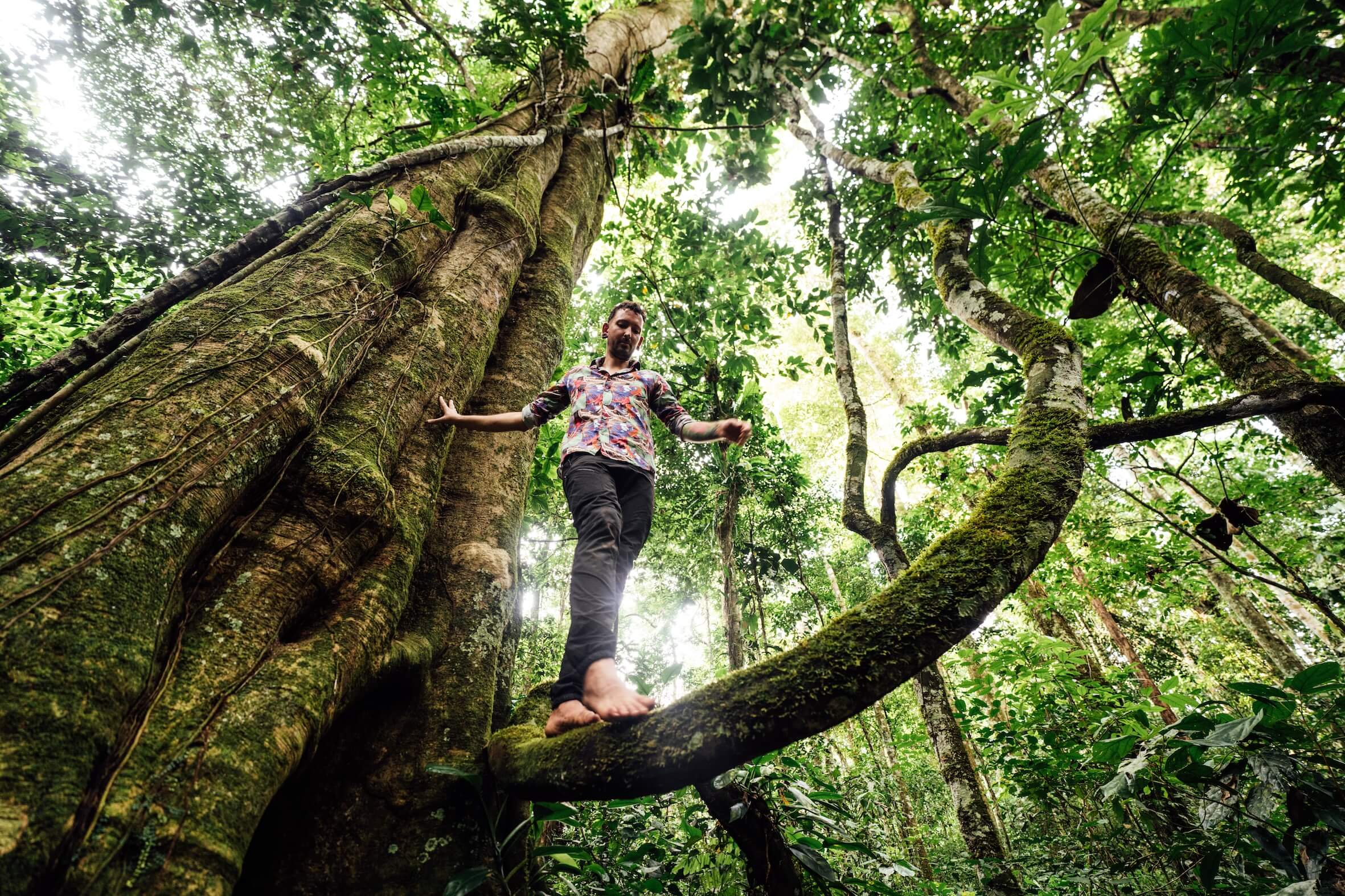 Wilderness International