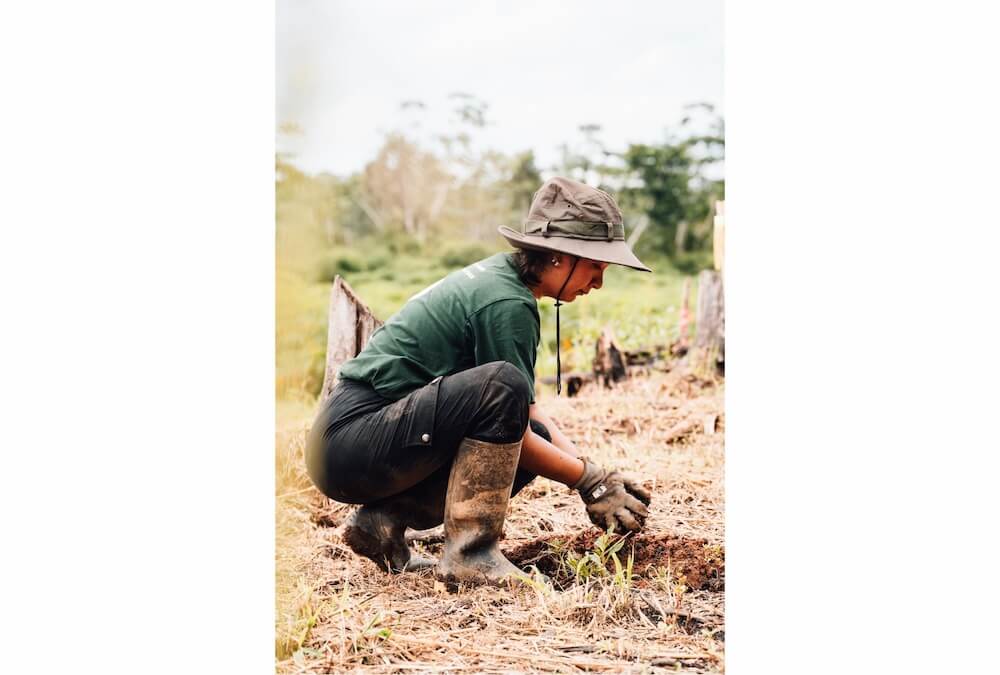 Wilderness International