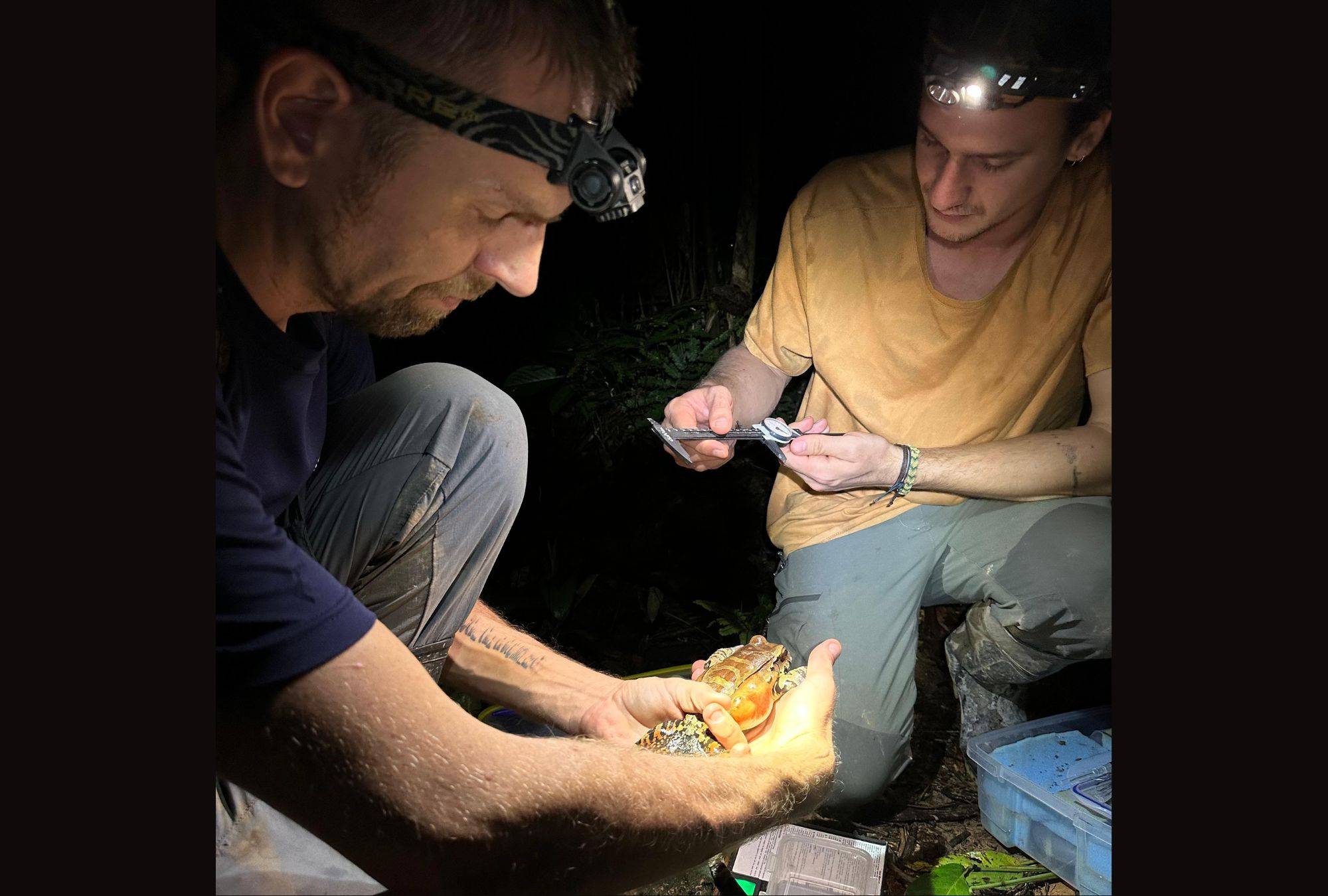 Wilderness International