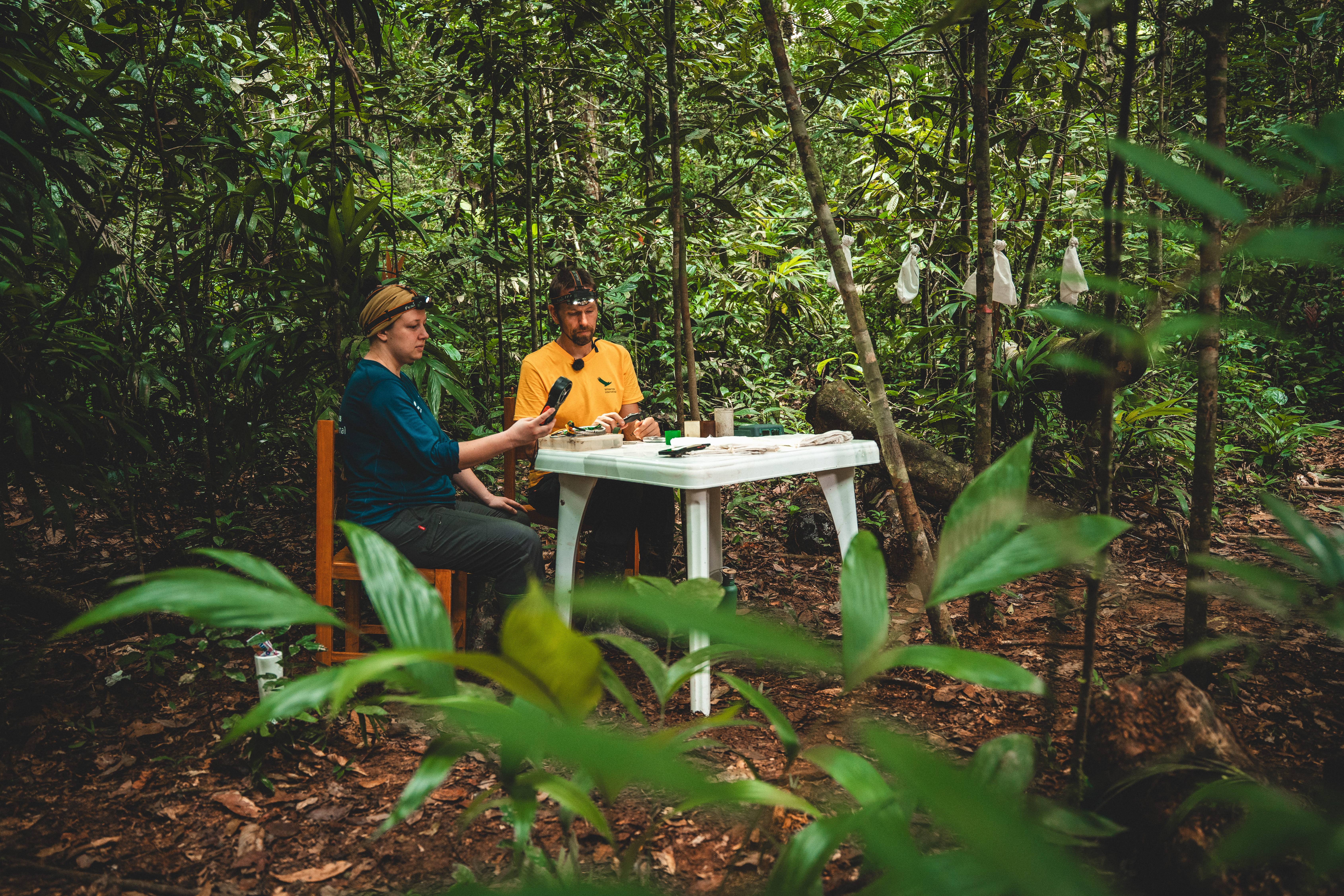 Wilderness International