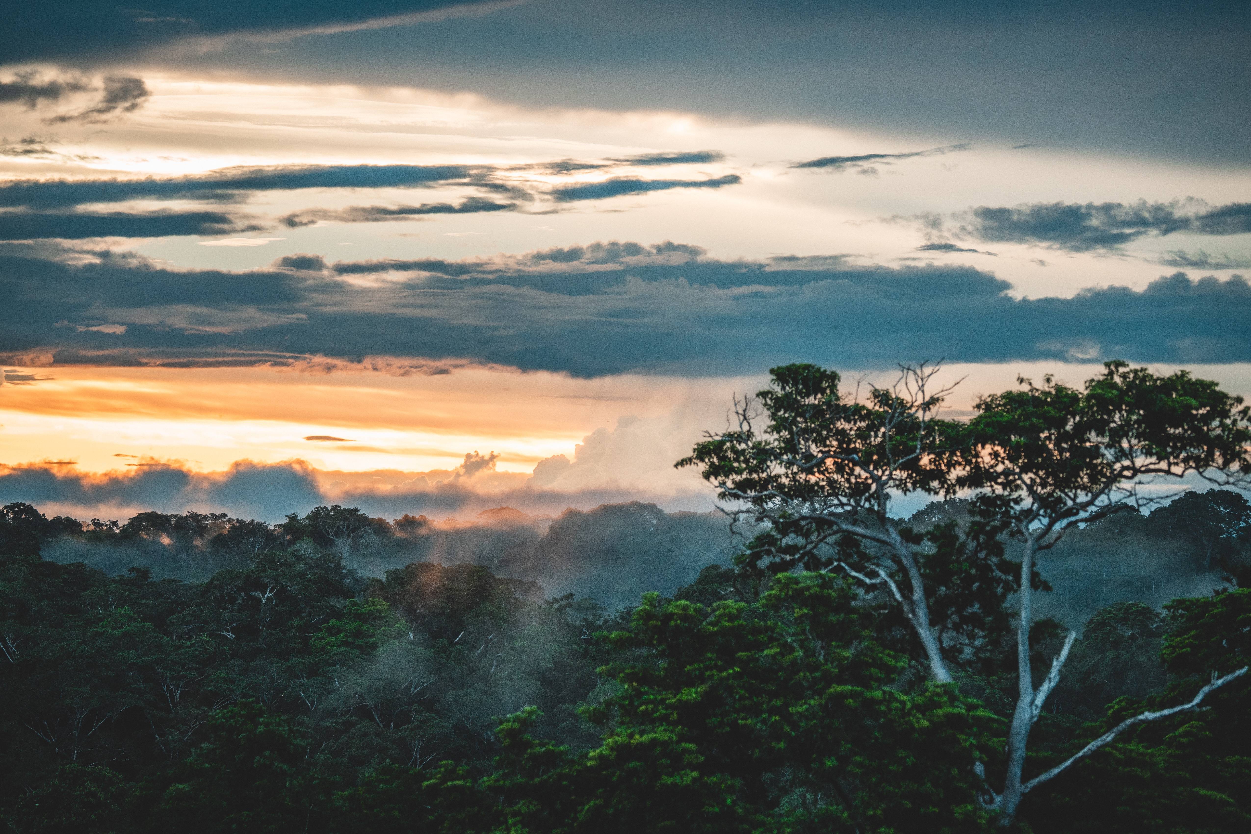 Wilderness International