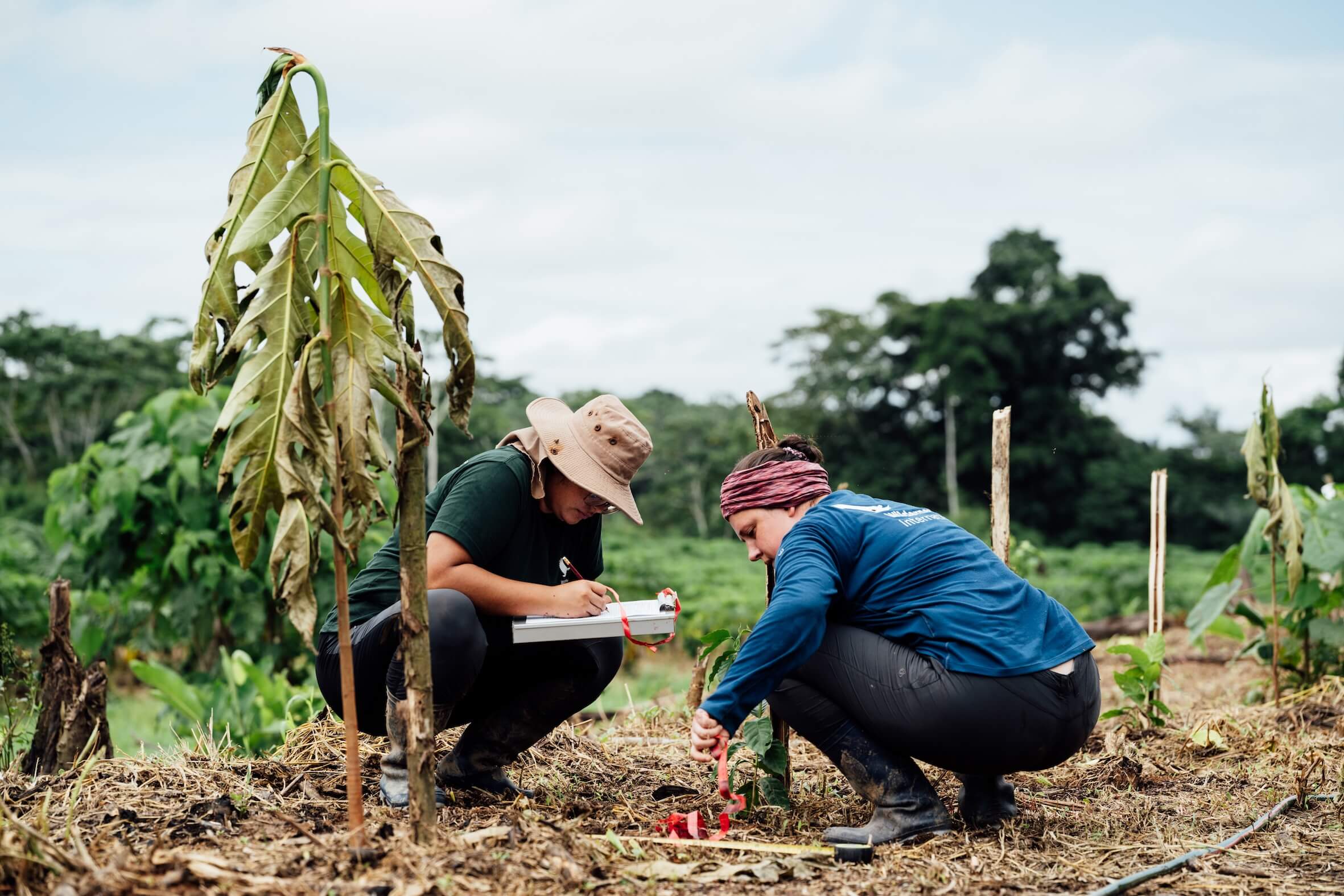 Wilderness International