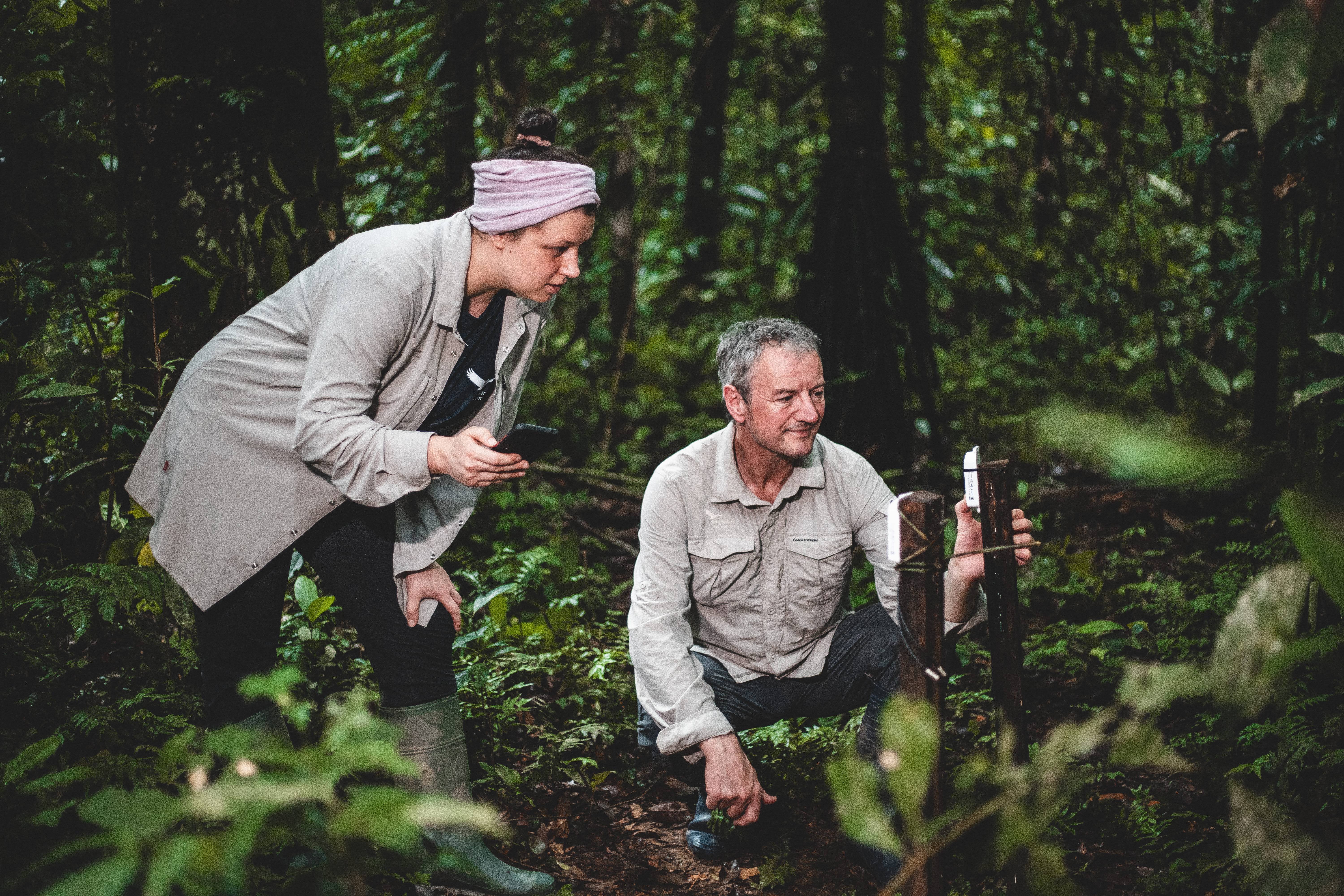 Wilderness International