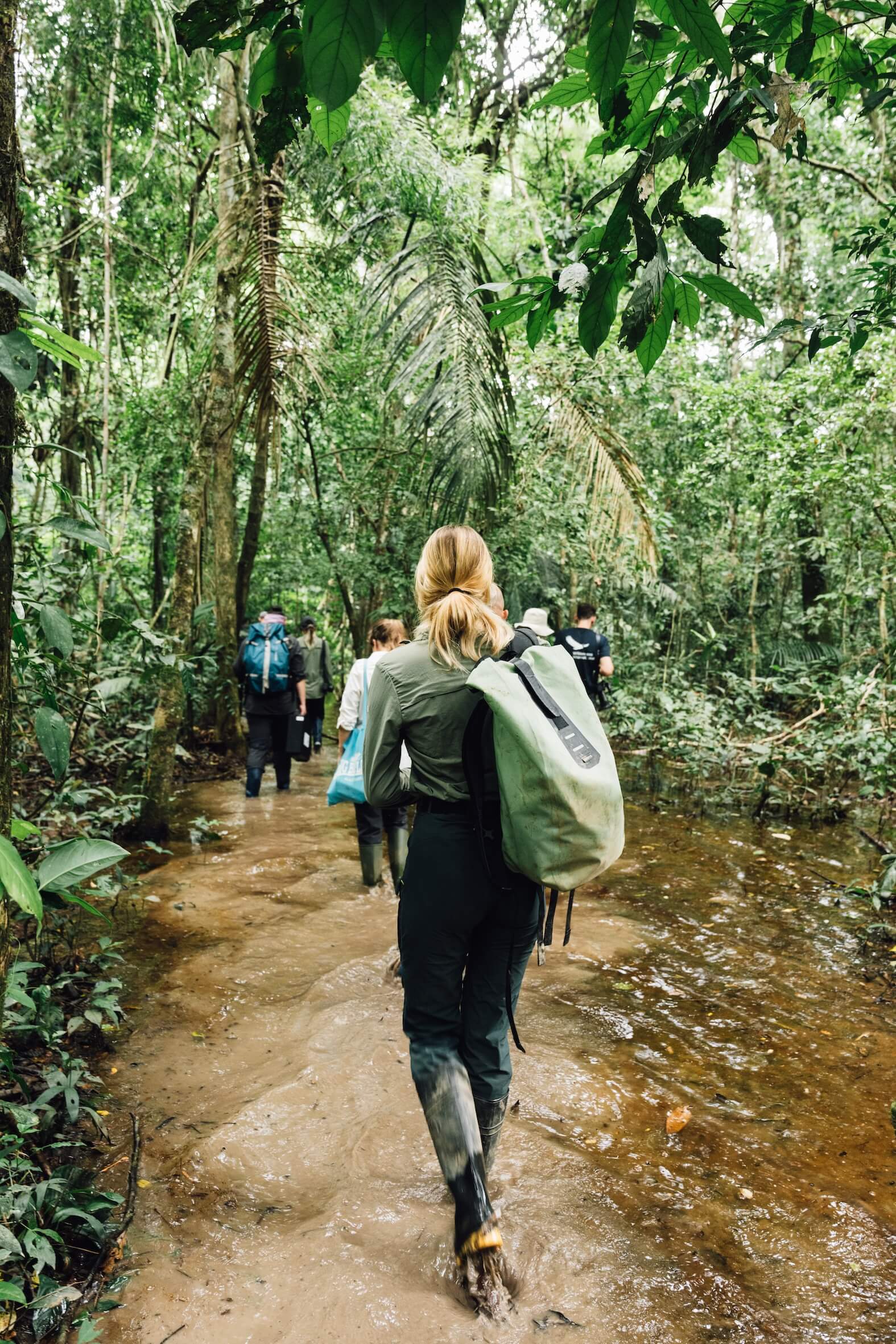 Wilderness International