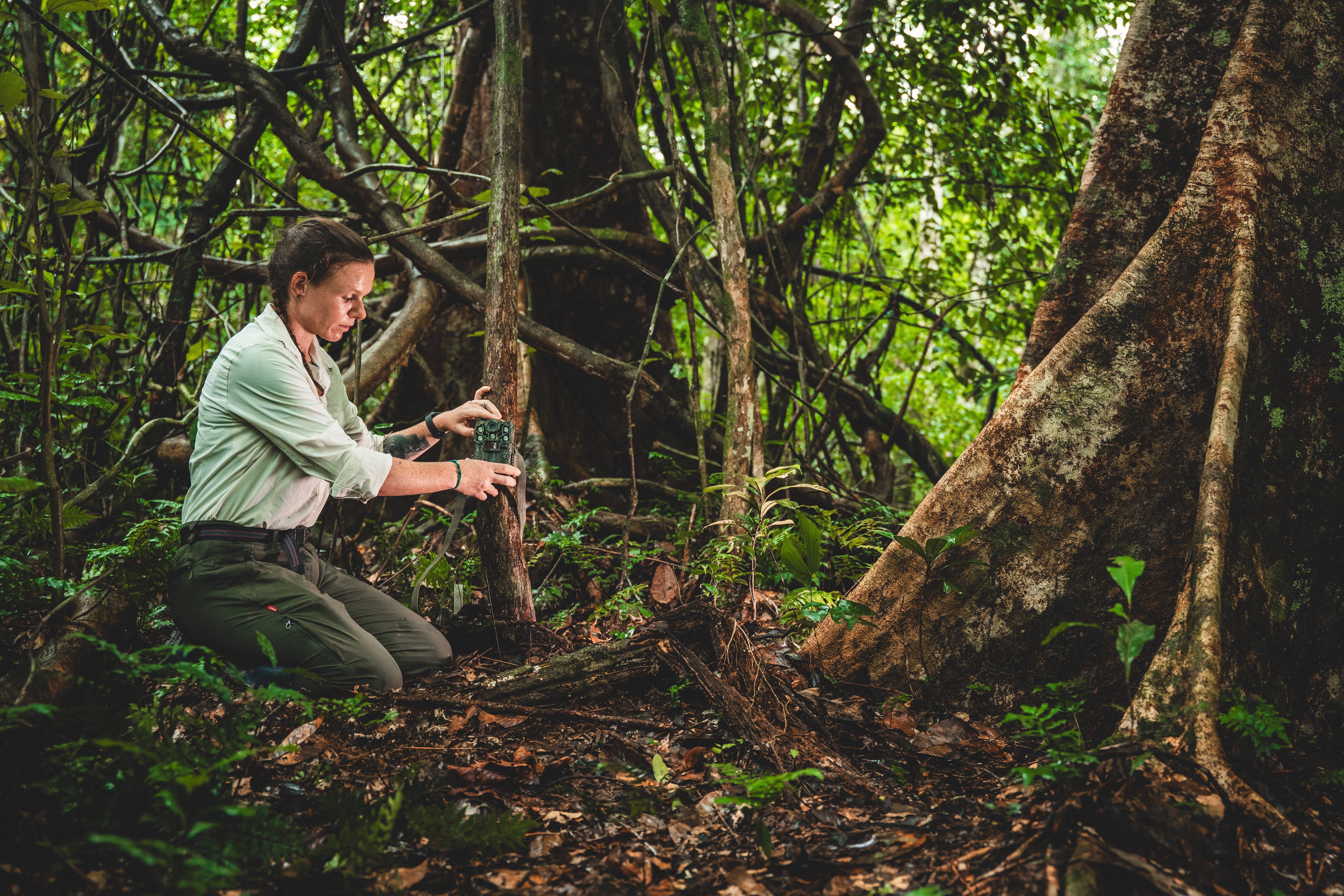 Wilderness International