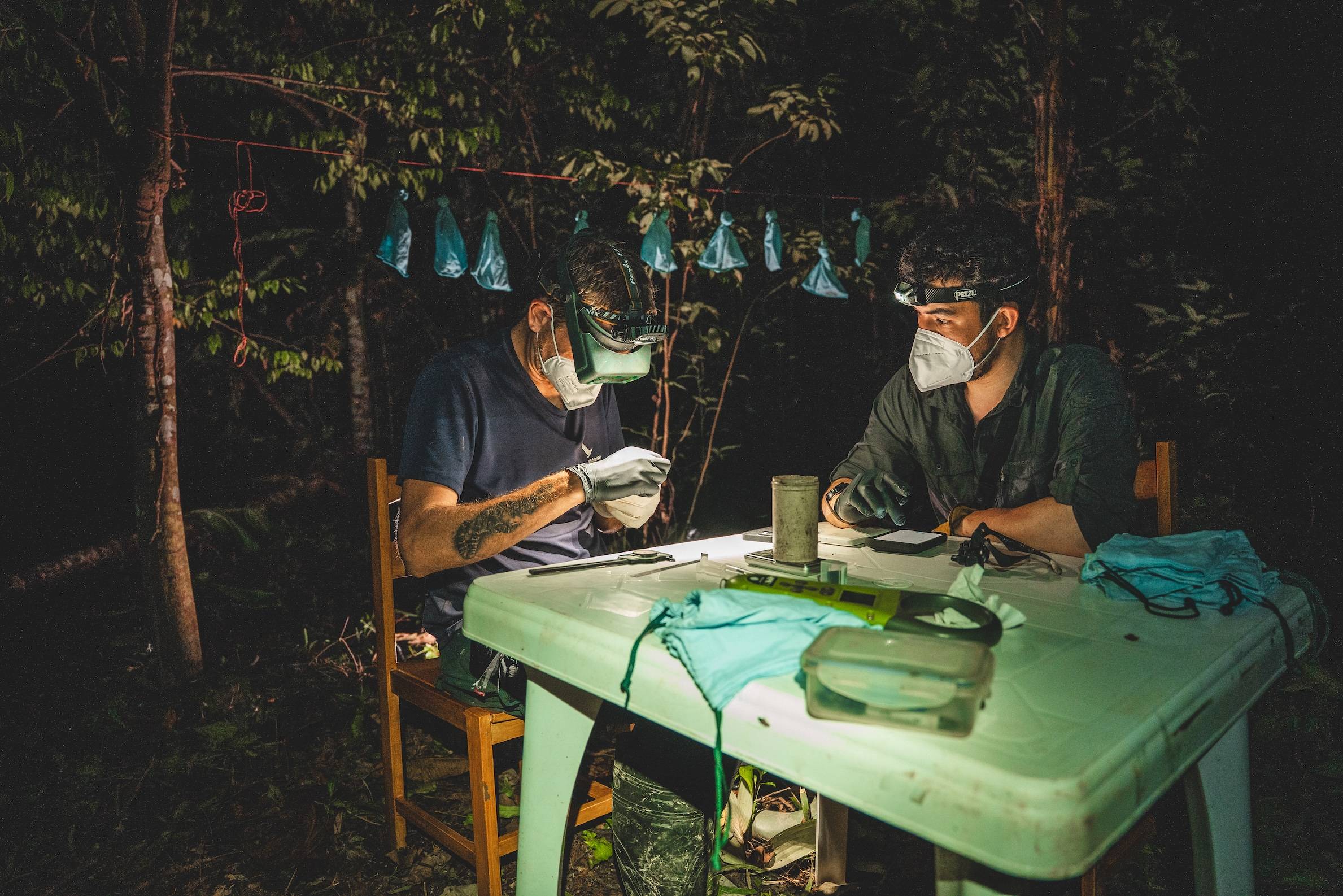 Wilderness International